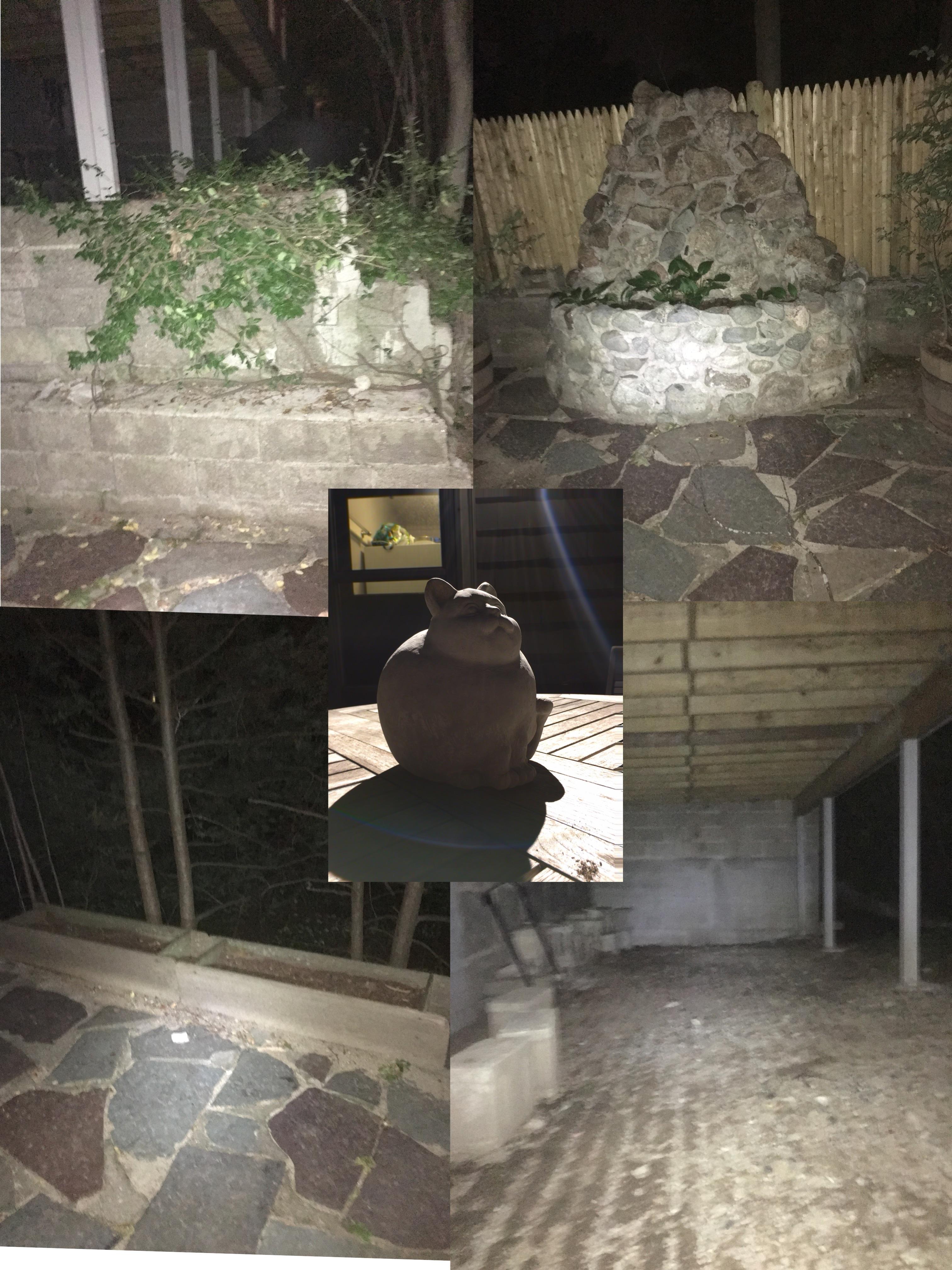 Cat statue locations. Where do I put it? r/196