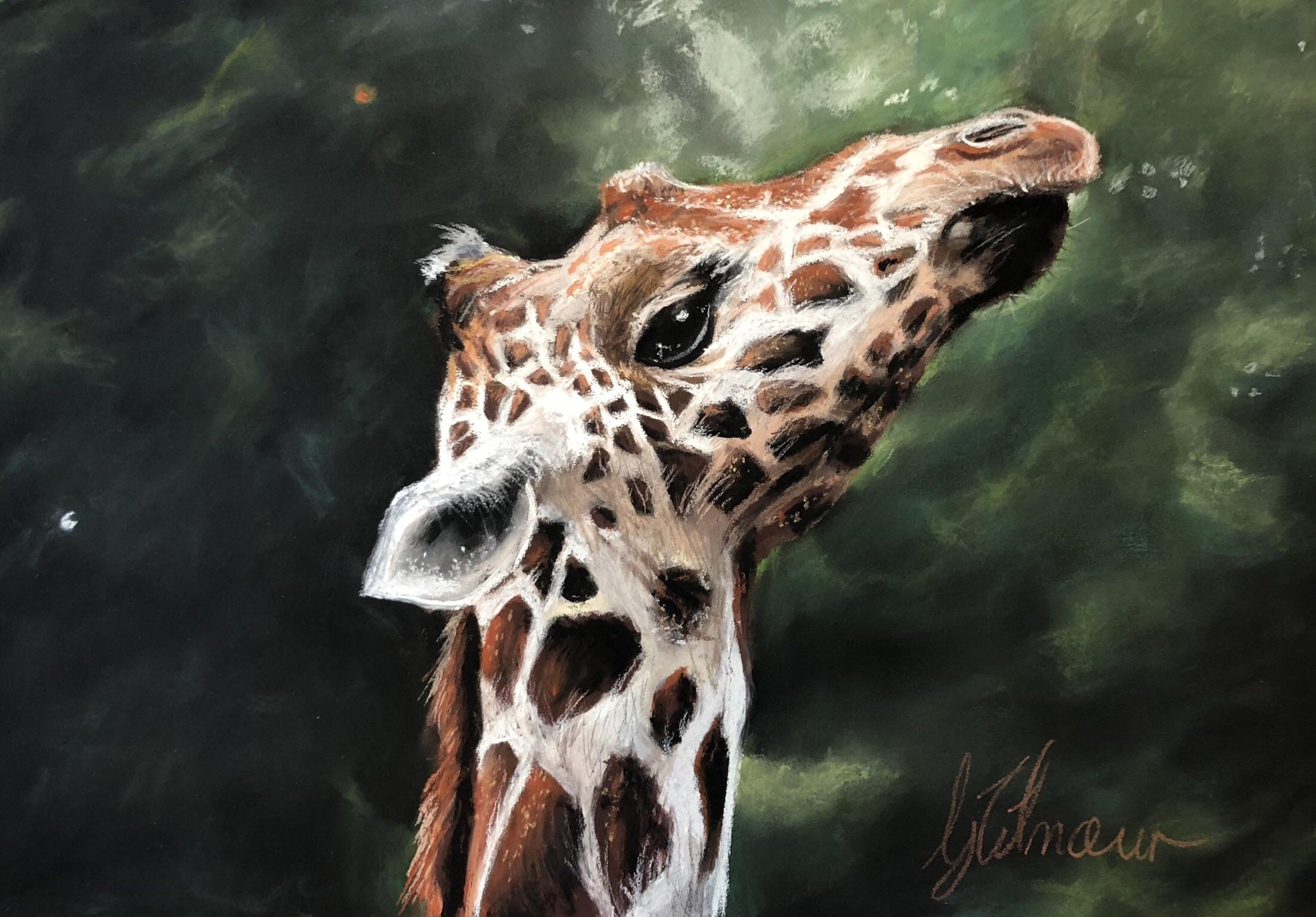 My soft pastel giraffe! Have also created a timelapse video, link in