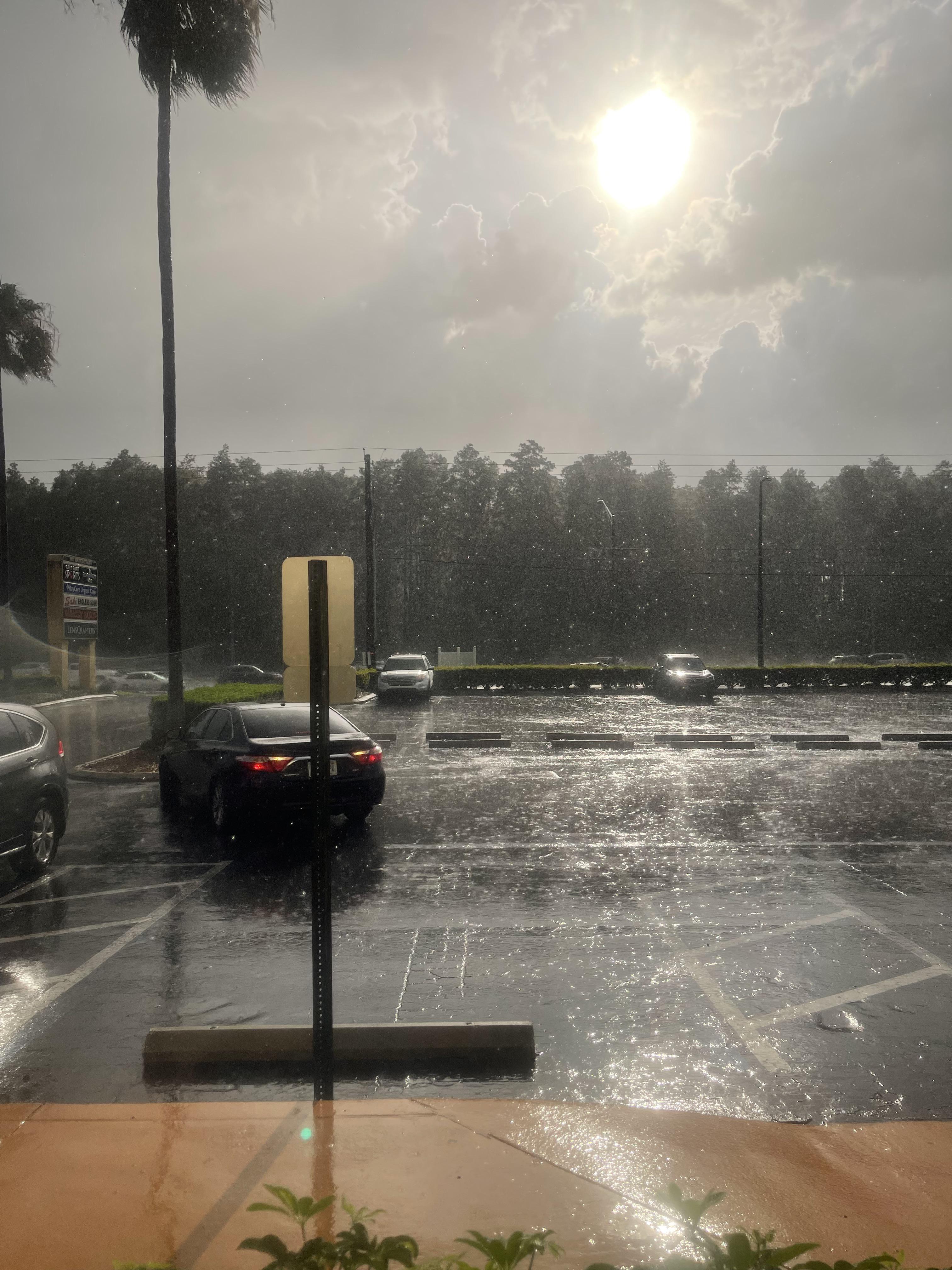 Sun Shower in Tampa, FL. r/pics
