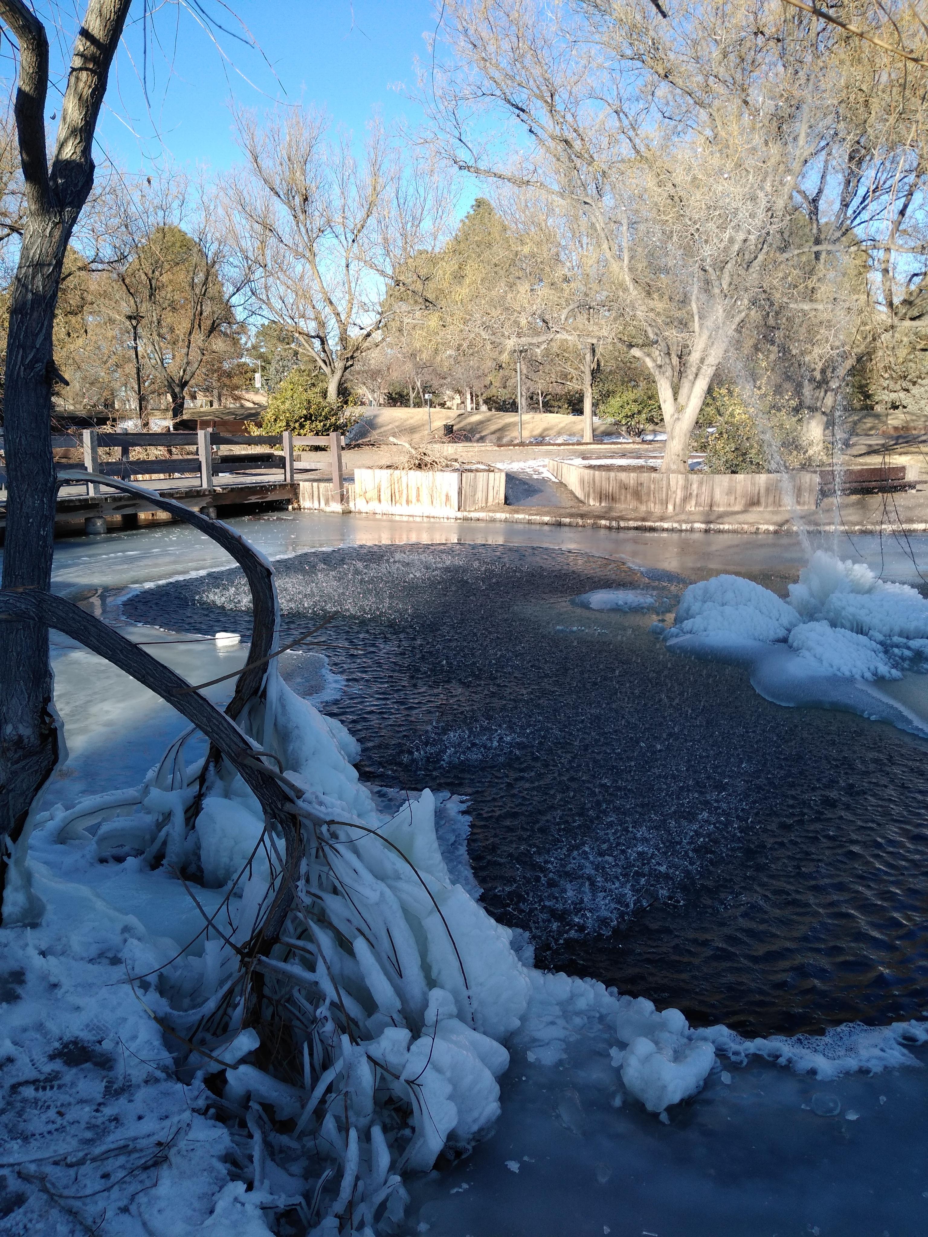 The Duck Pond fountain took out the branches of the tree r/Albuquerque