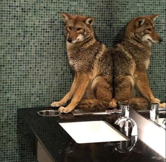 Guess I’m a bathroom attendant now r/thisismylifenow