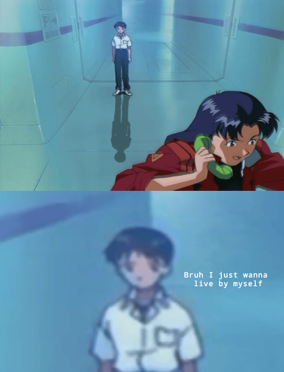 Literally evangelionmemes