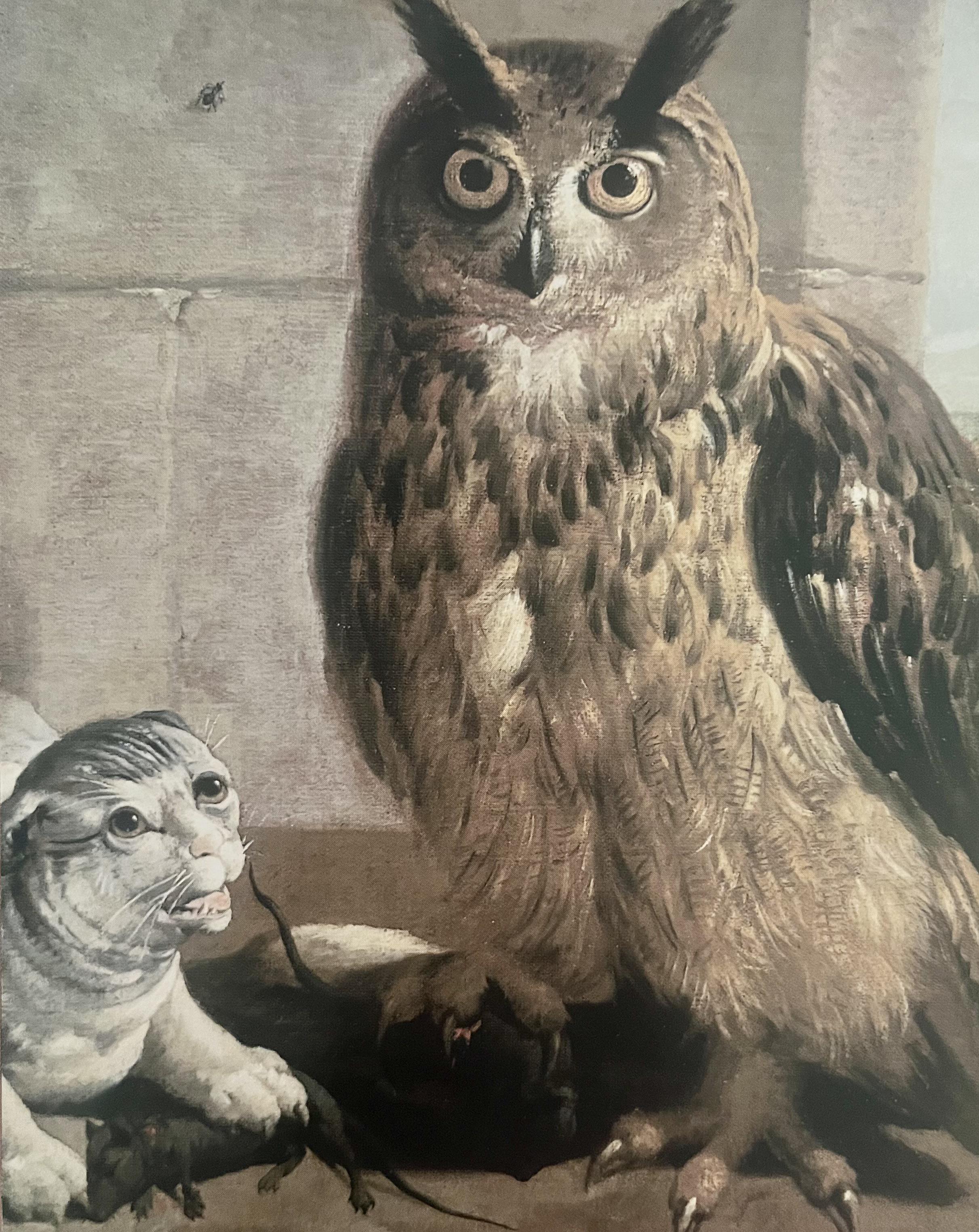 Cat afraid of owl r/MedievalCats