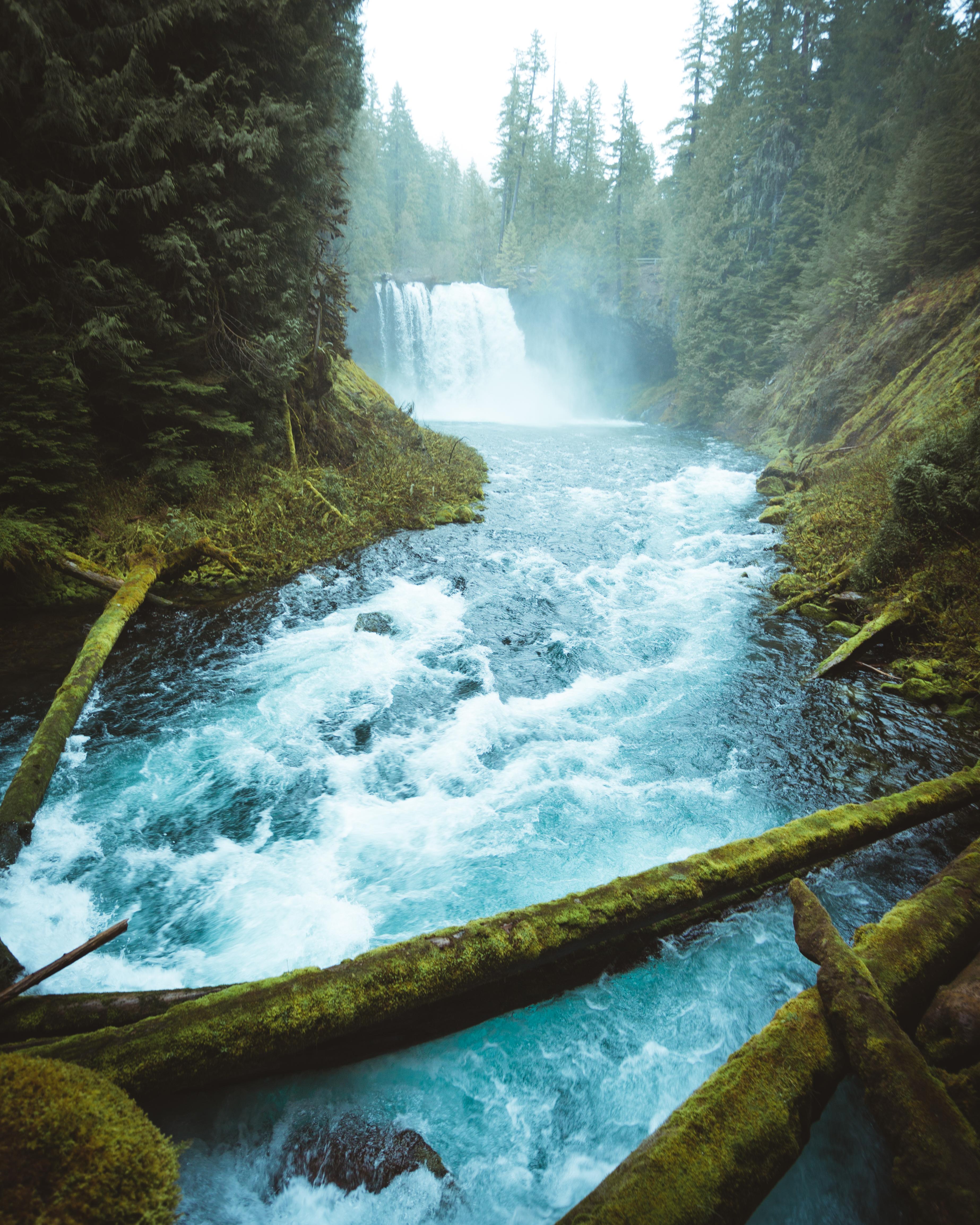 Blue waterfalls by Bend, Oregon [3820 x 4775] [OC] r/EarthPorn