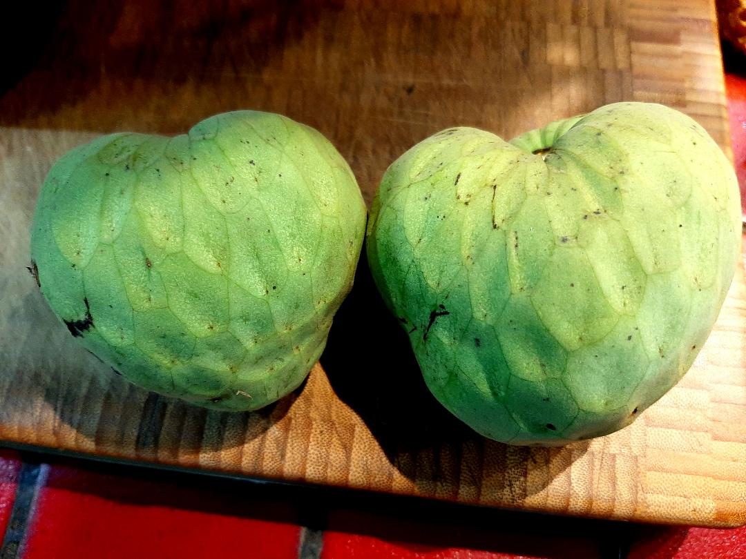 'Honey Heart' cherimoya straight from my tree this morning! r/fruit