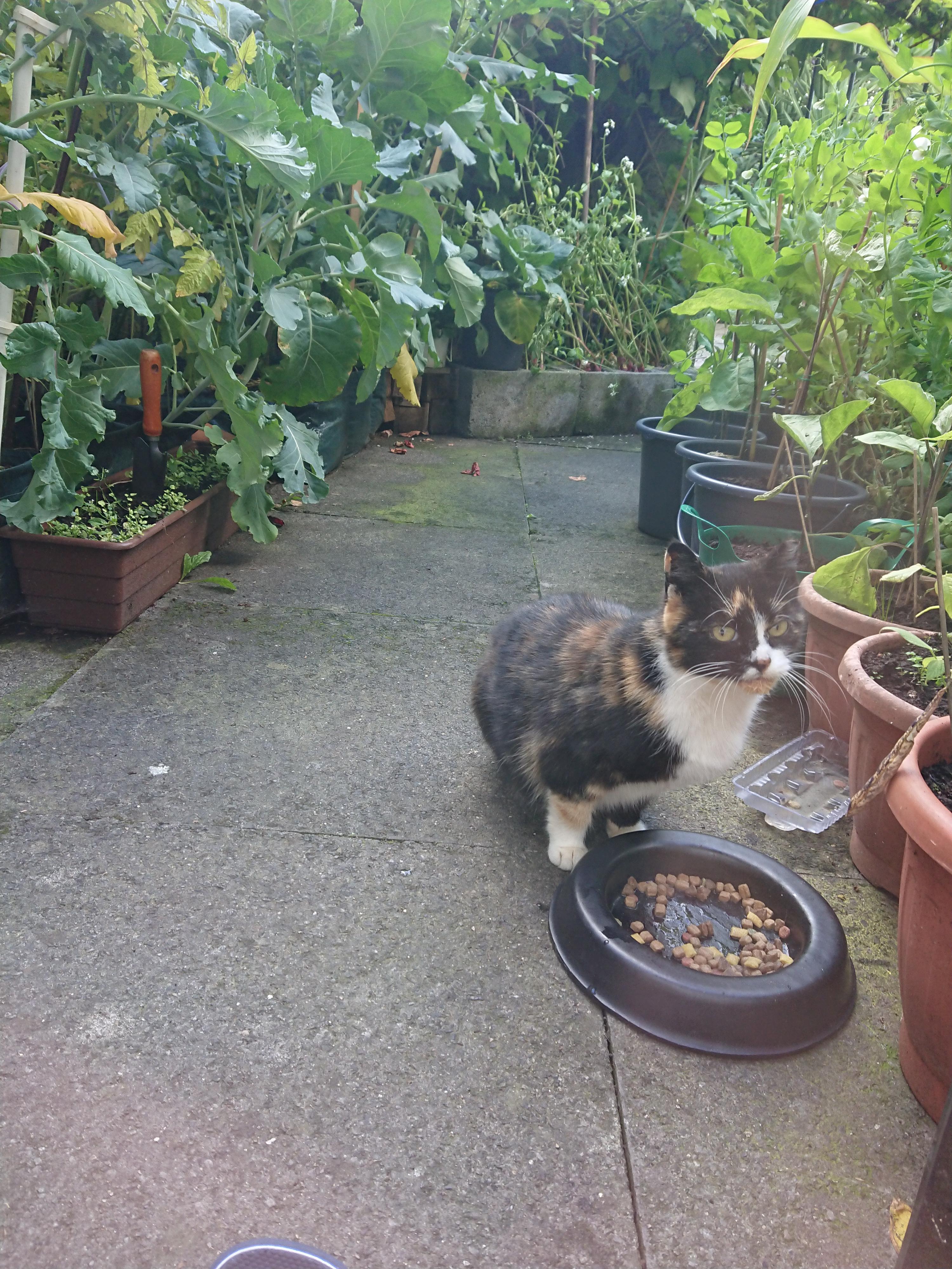 Do you guys know if there's a trustworthy animal center/rescue (or even