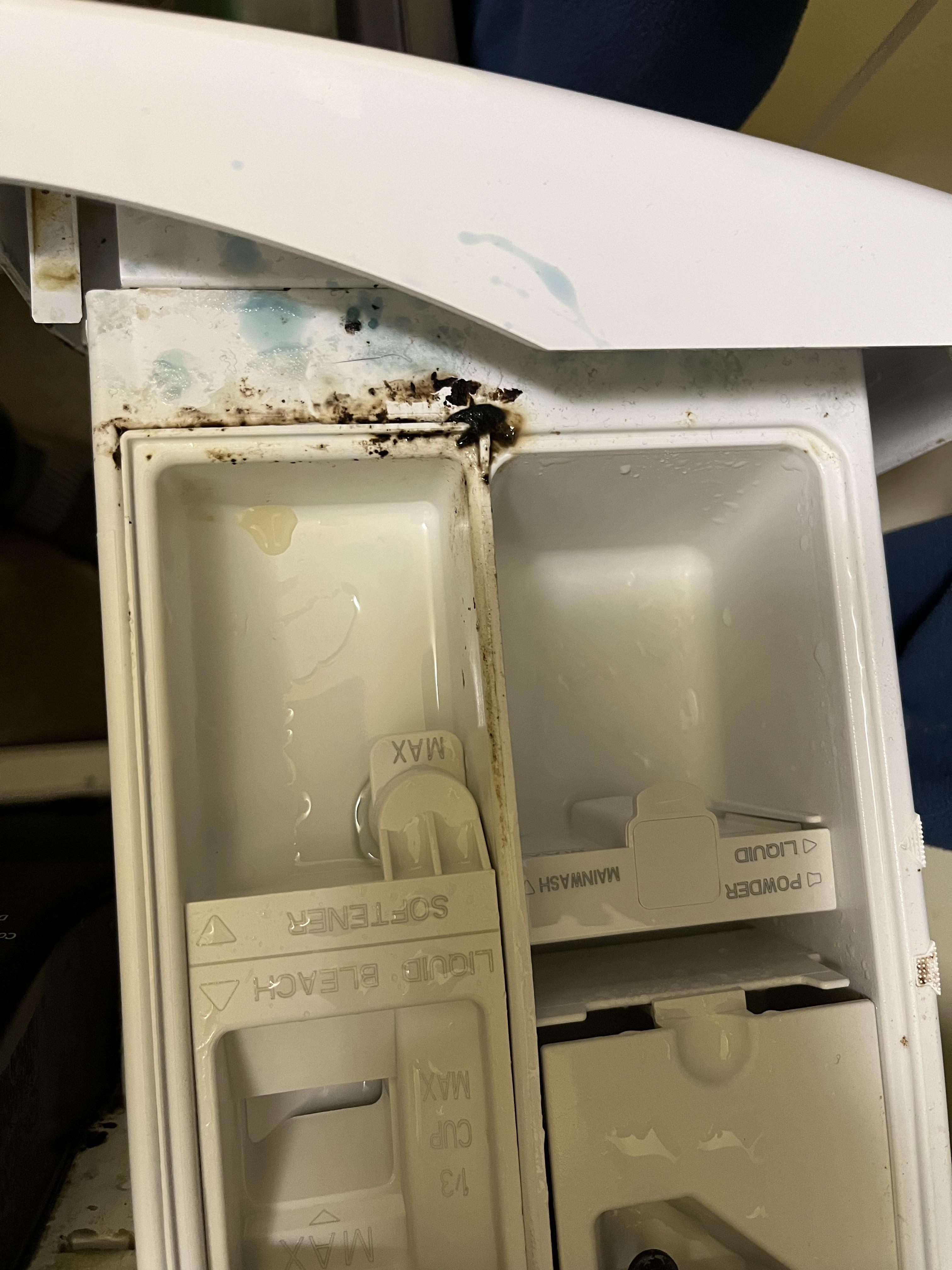 Mold keeps appearing in the washing machine detergent tray. There is