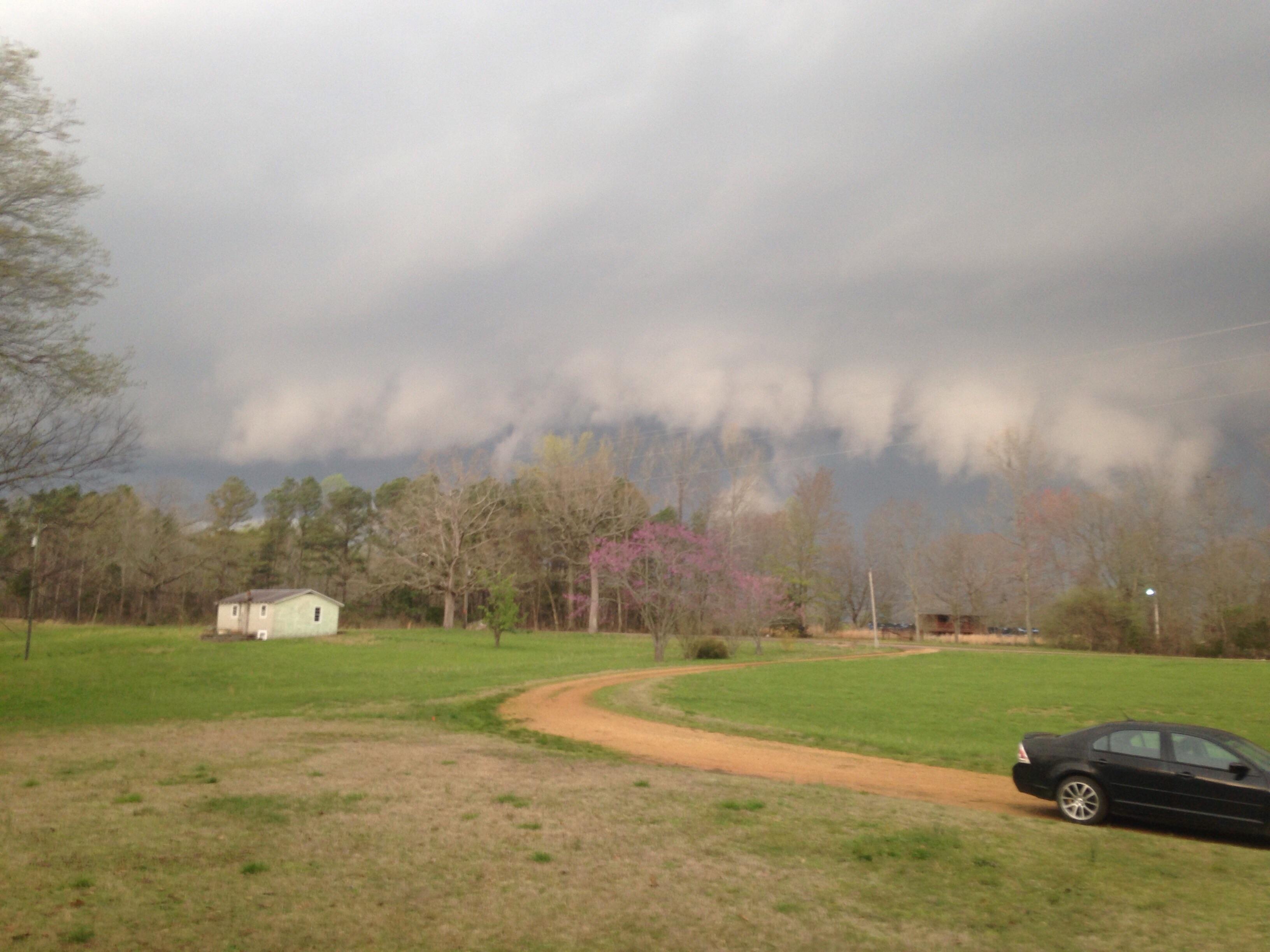 Today in West Tennessee. r/Tennessee