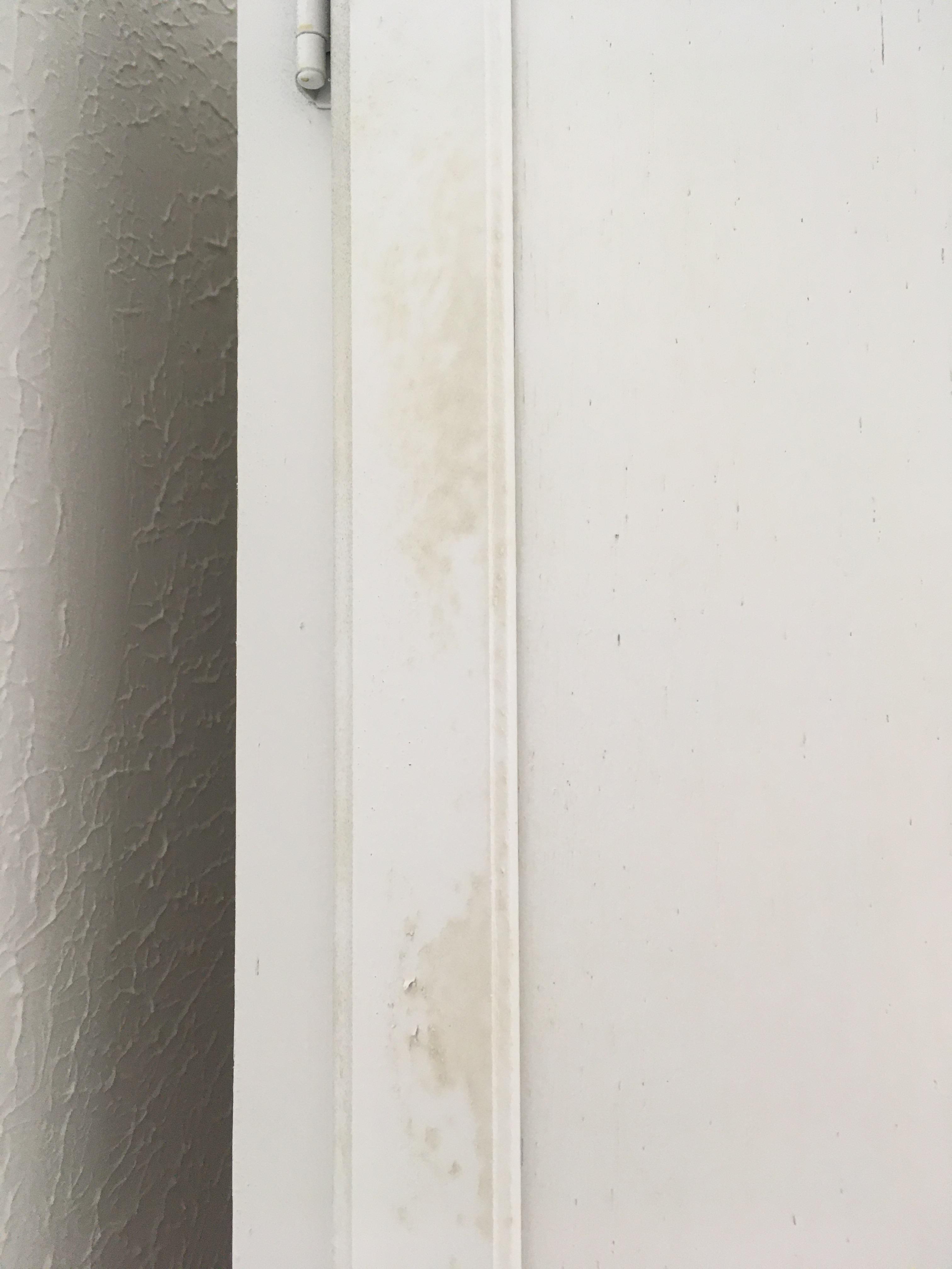 Is mold killing paint an effective containment method for removal of