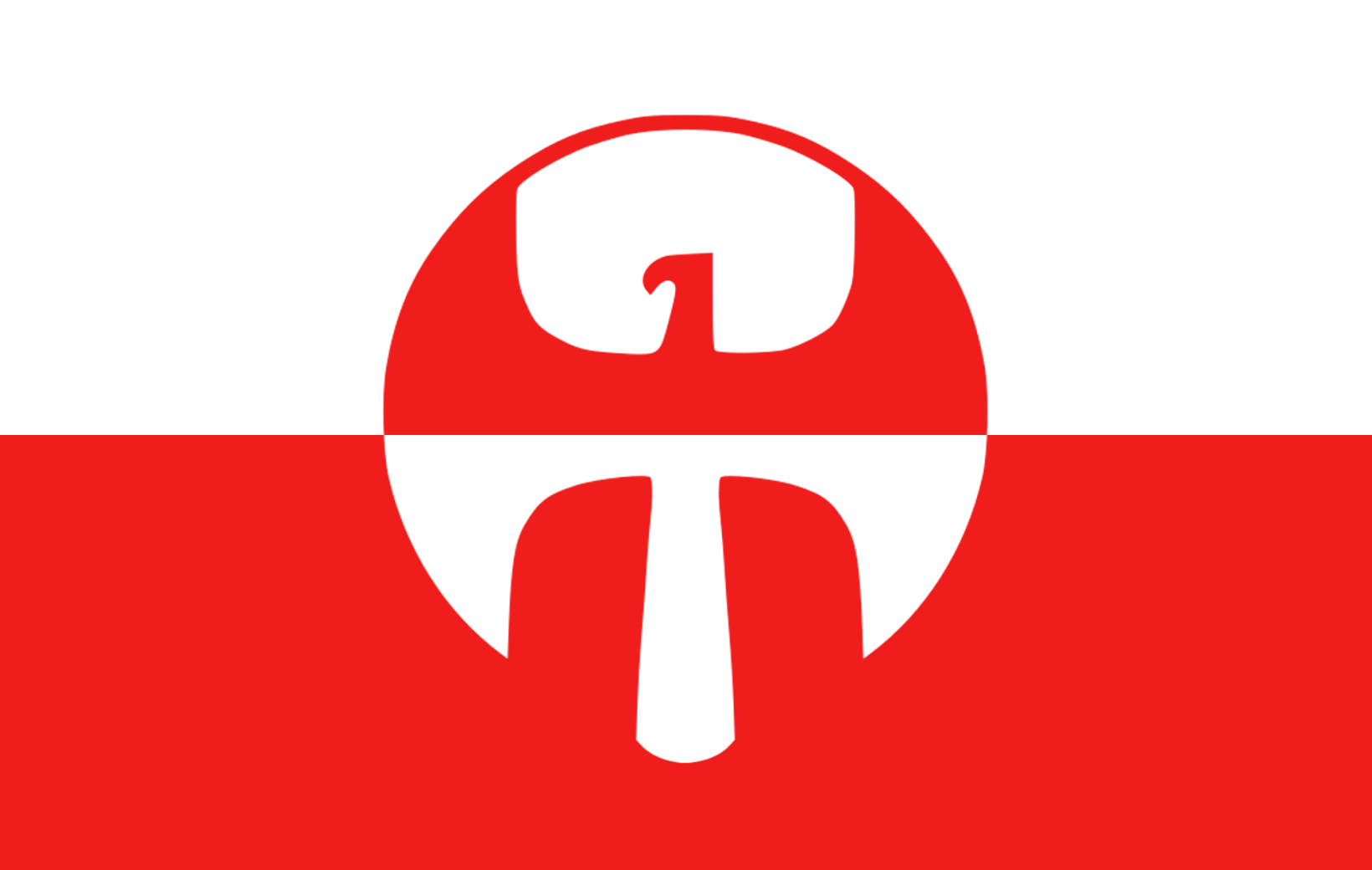 A flag for Valkist Poland Fuhrerreich
