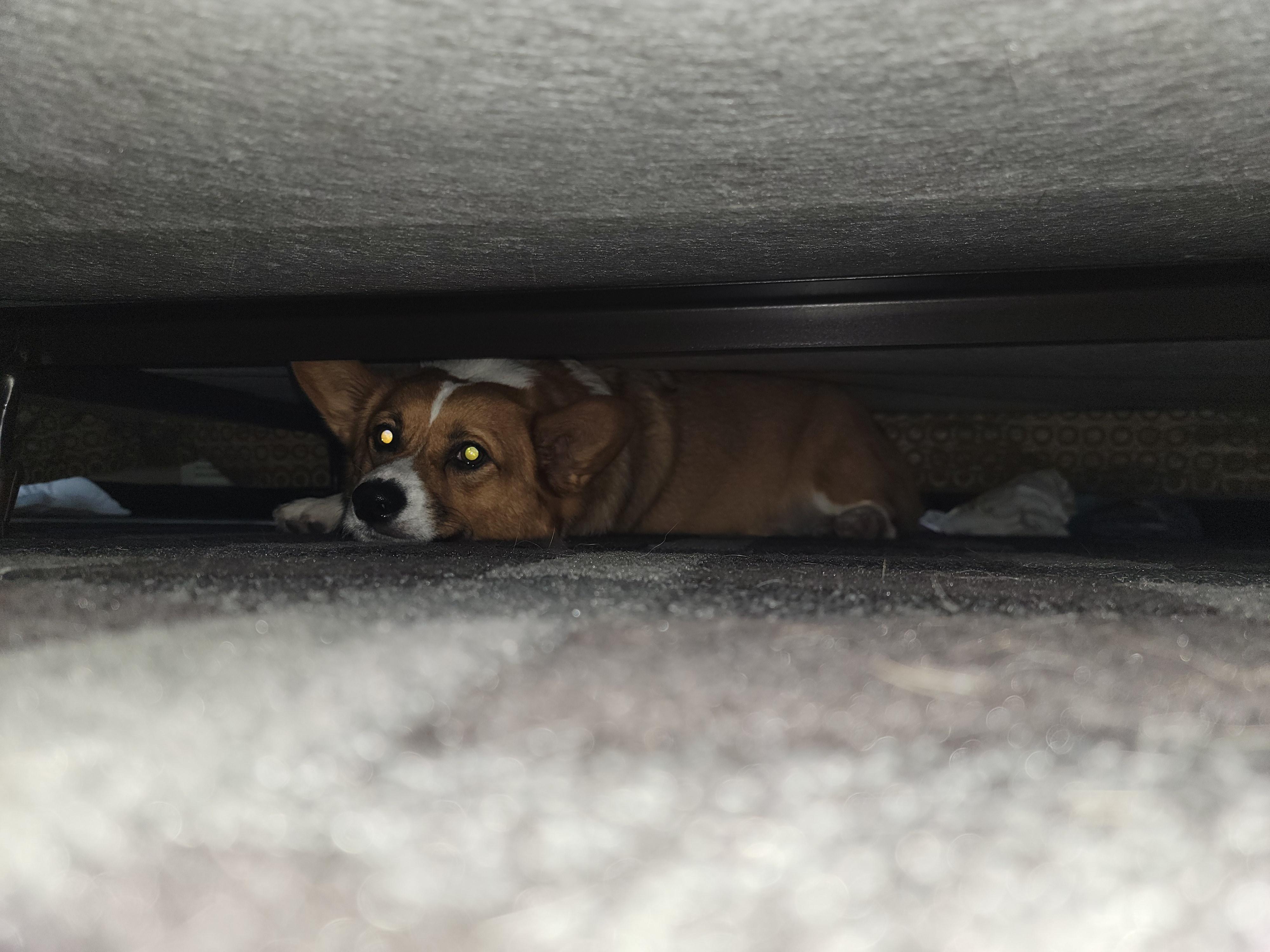 Any other hiding under the bed?