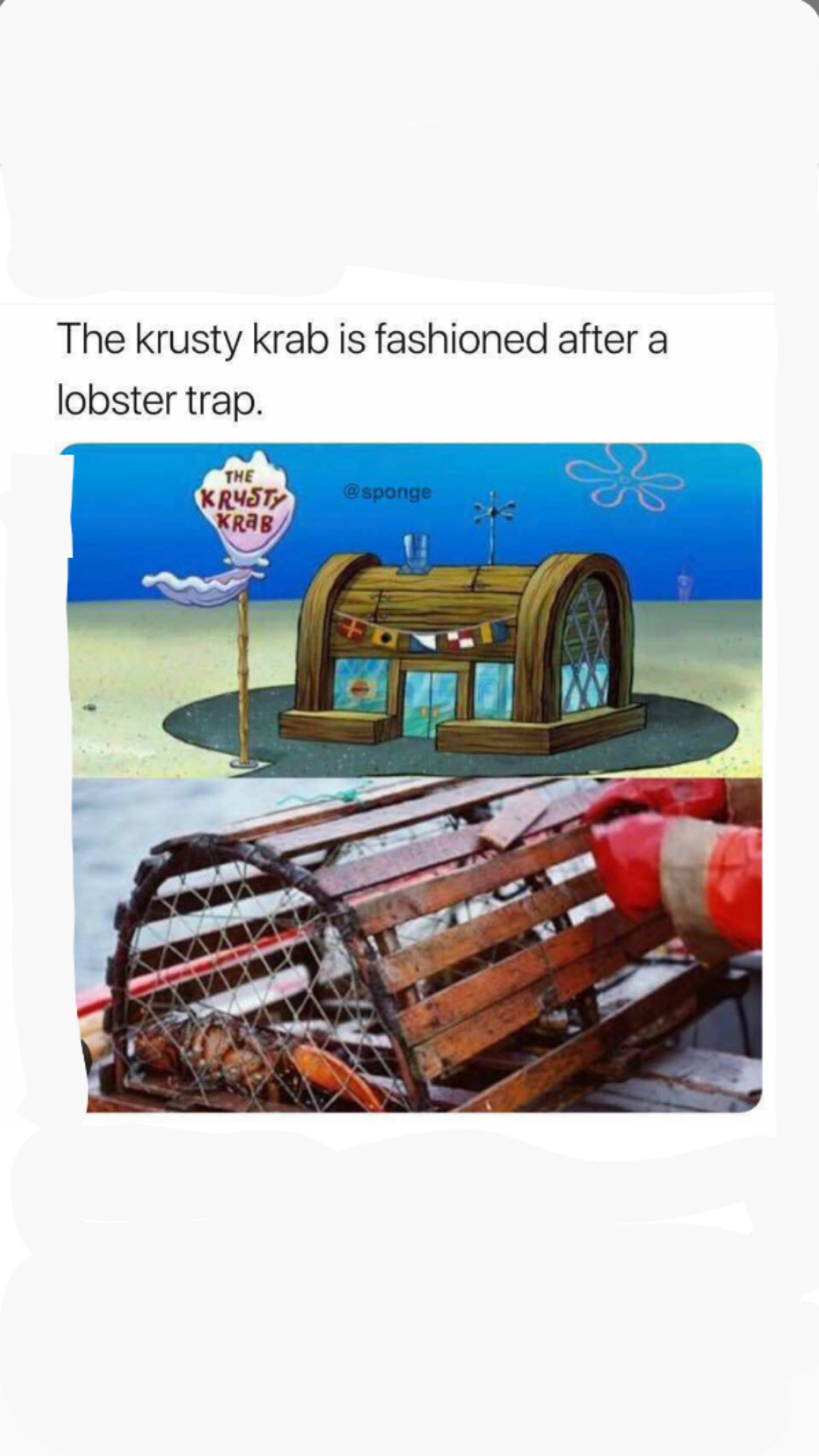 Have you ever seen Larry the Lobster come in but when they got a drive