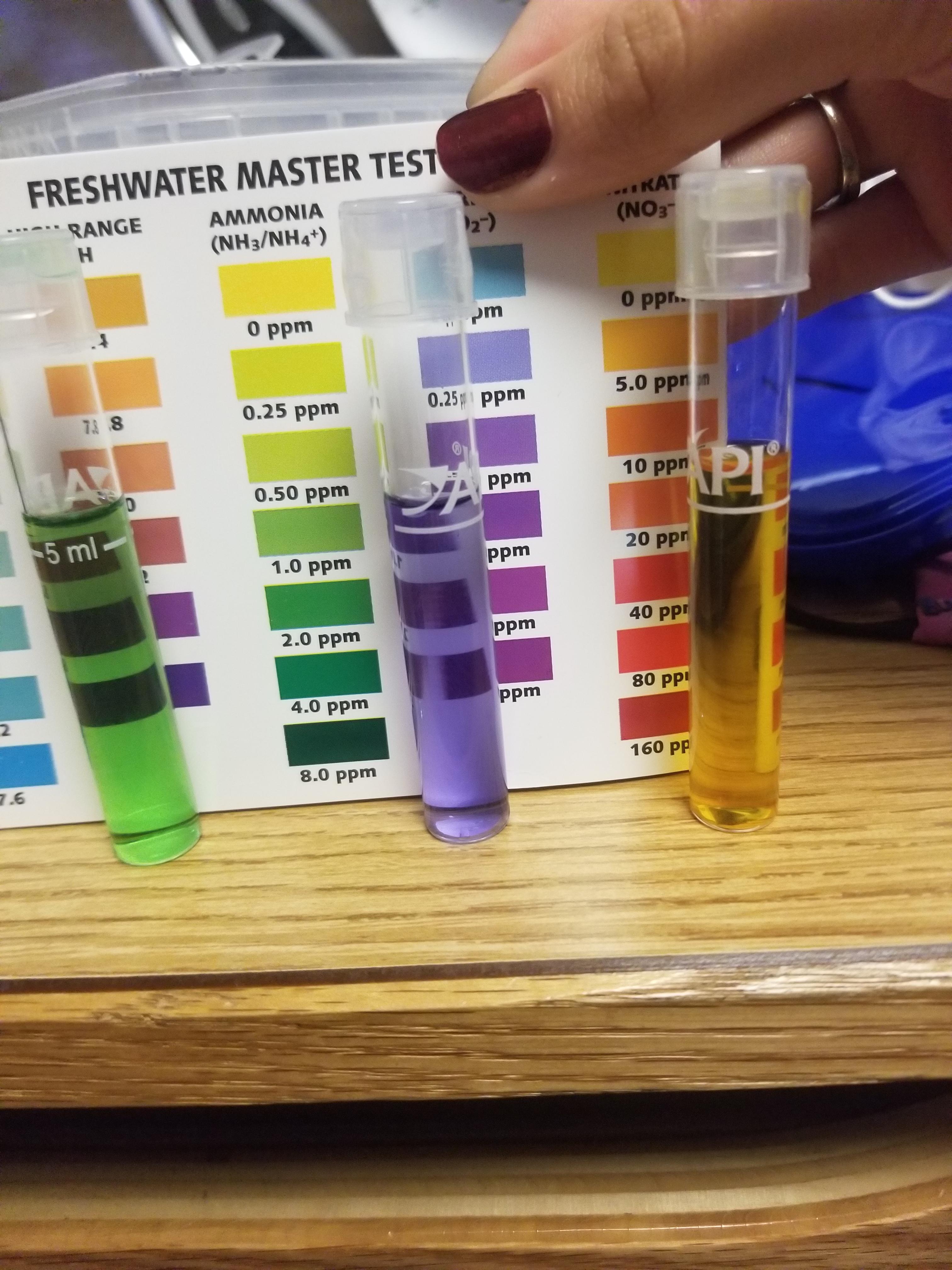 Just set up this tank a few days ago for a fishless cycle, am I on the