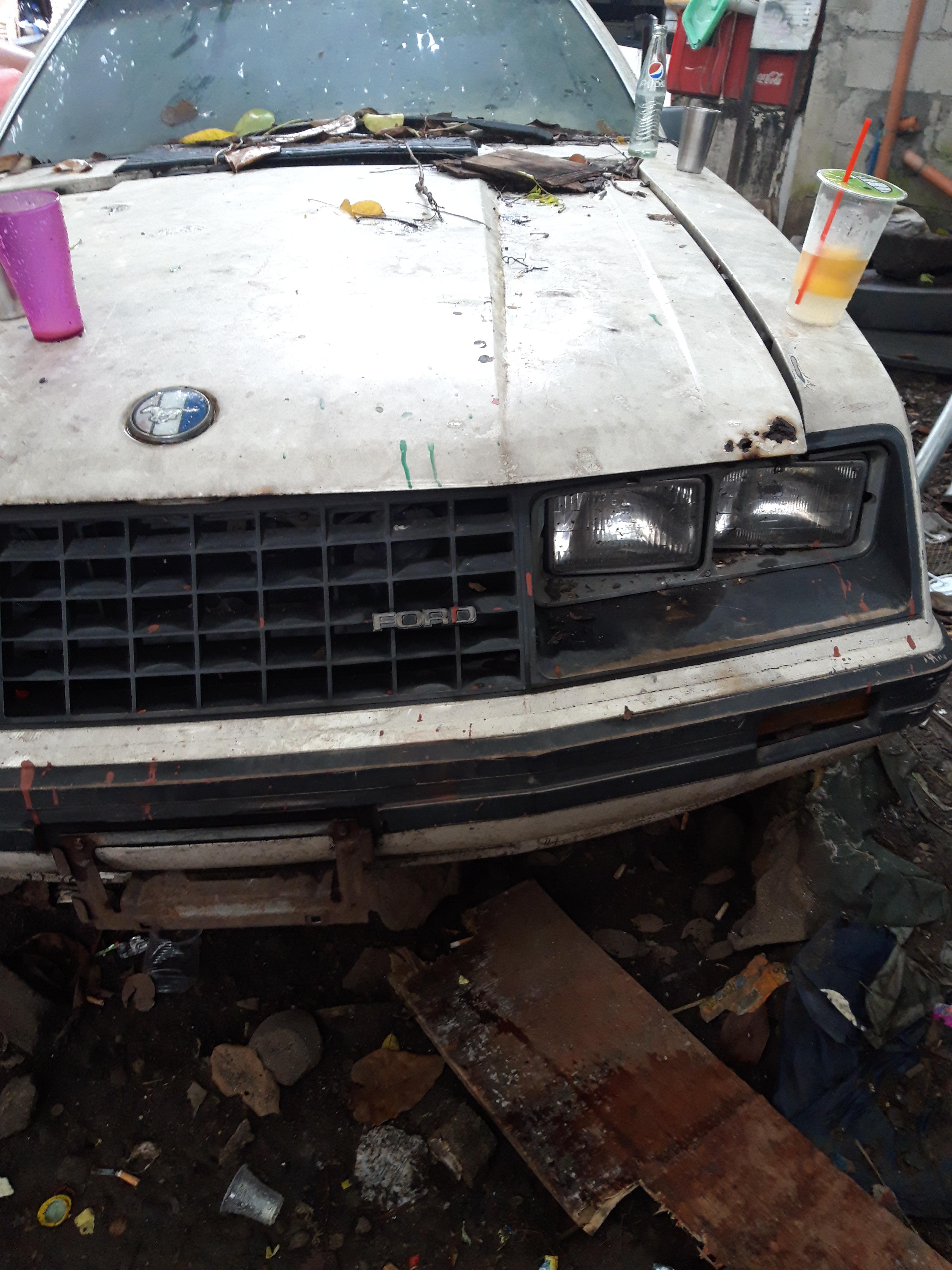 Hey guys just found this around my neigborhood and I can't identify old