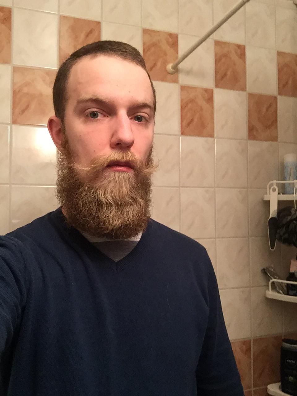 Hello r/beards 5/6 months in and first Reddit pic r/beards