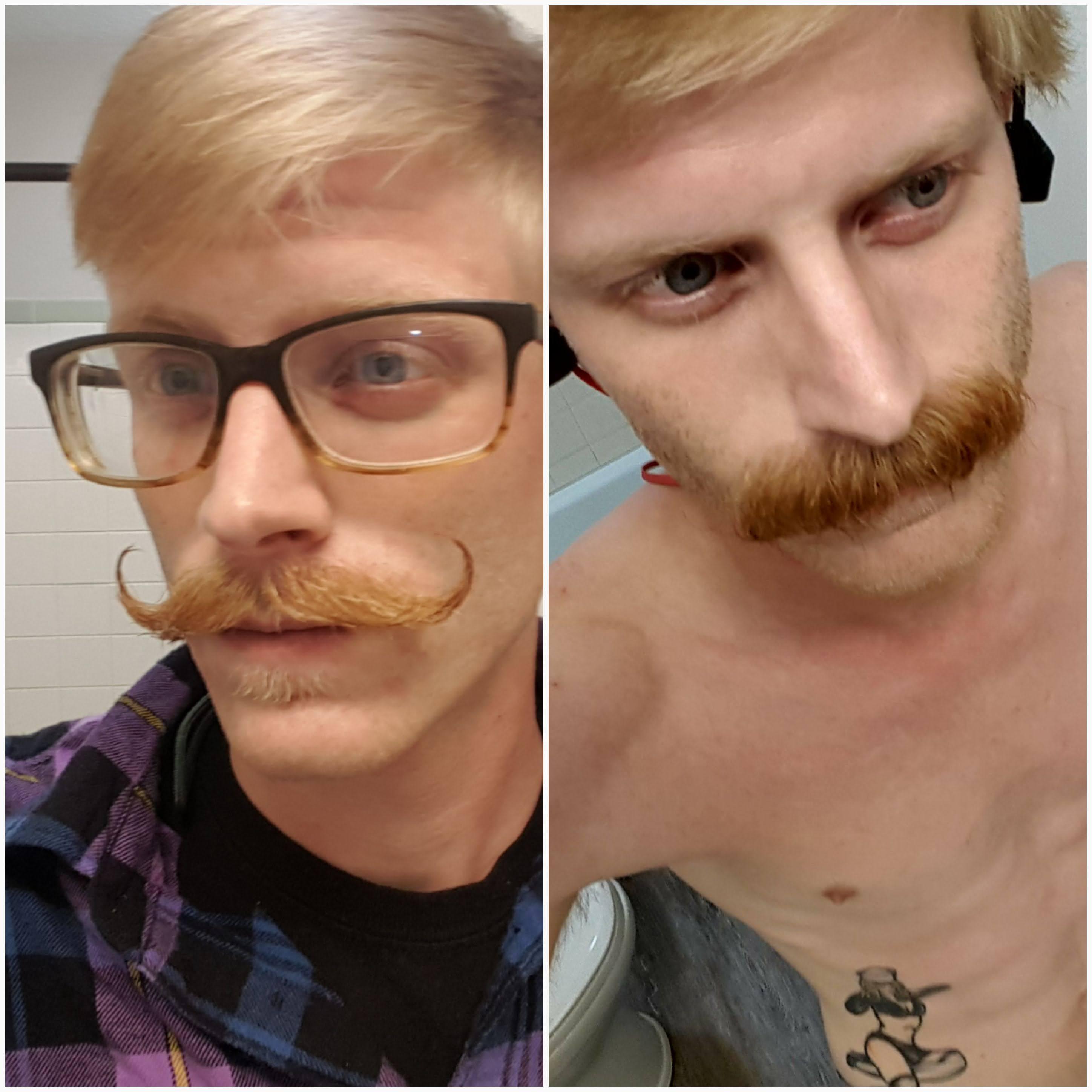 The stache has to be flexible. The majestic transformation day to day