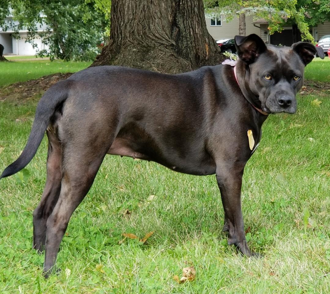 boredwifenikki (u/boredwifenikki) - Reddit