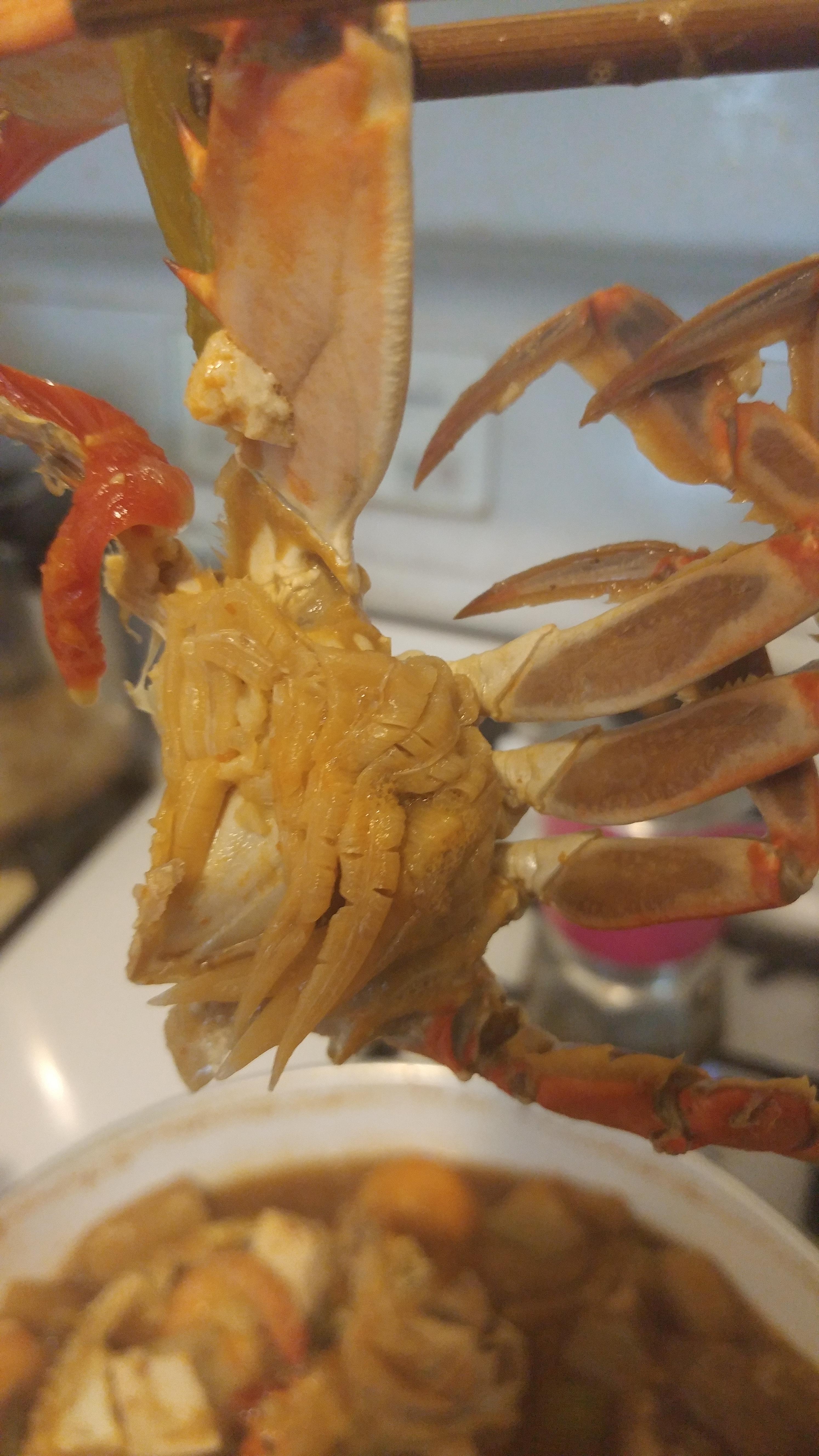 What are these soft leg looking things? Are they edible? r/Seafood