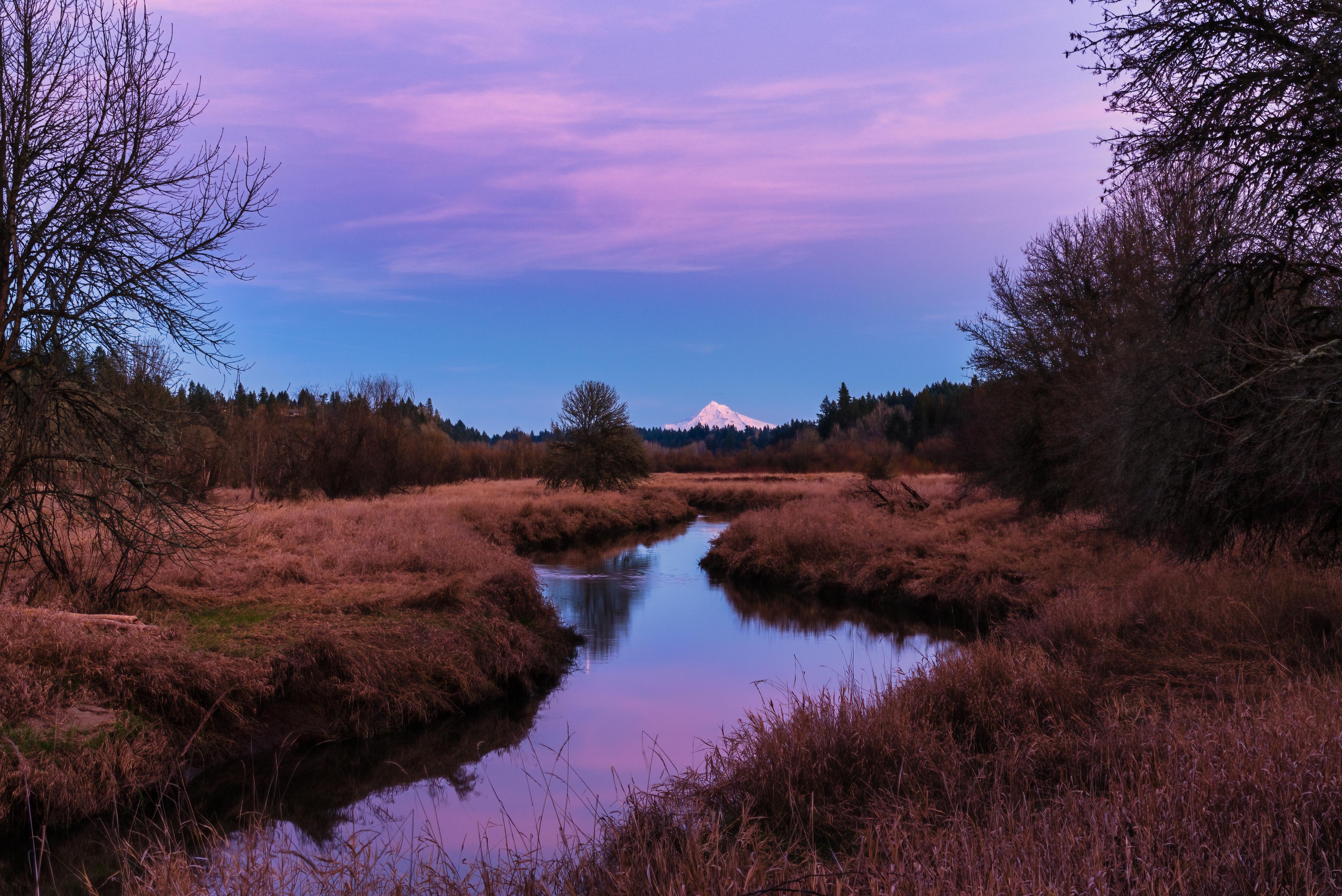 Salmon Creek Greenway Trail Mt. Hood r/vancouverwa