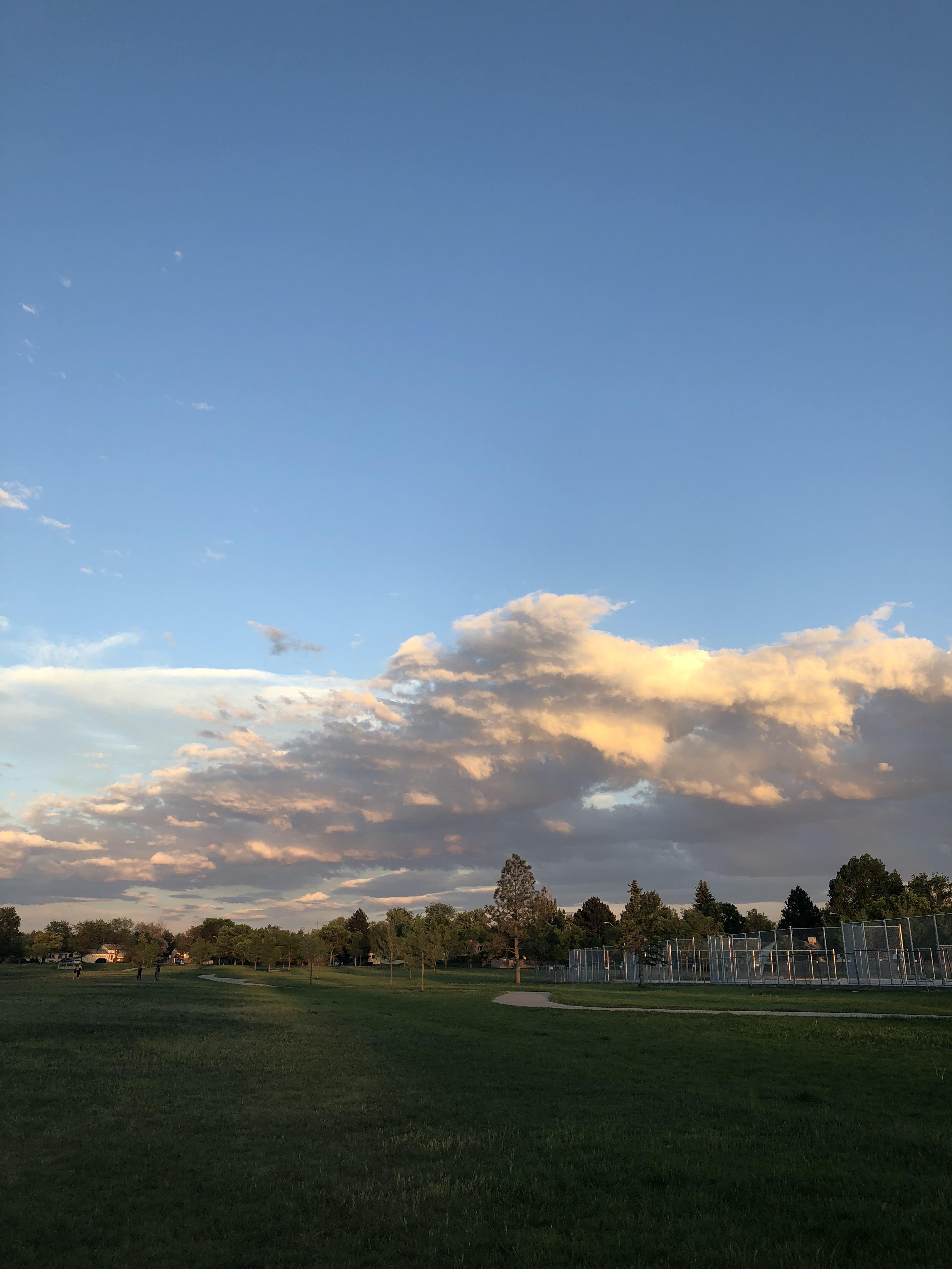 Disc golf views at Expo Park r/Denver