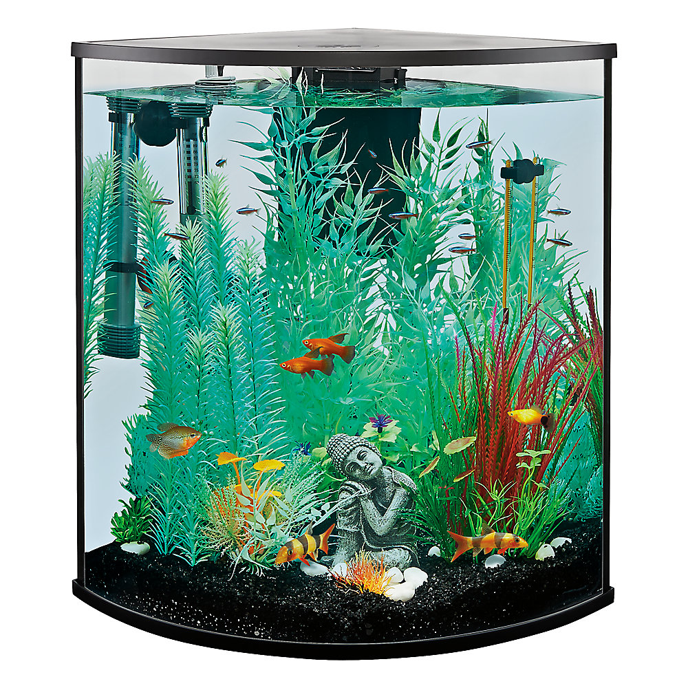 Top Fin® Corner Tank Aquarium Starter Kit Gallon atelieryuwa.ciao.jp