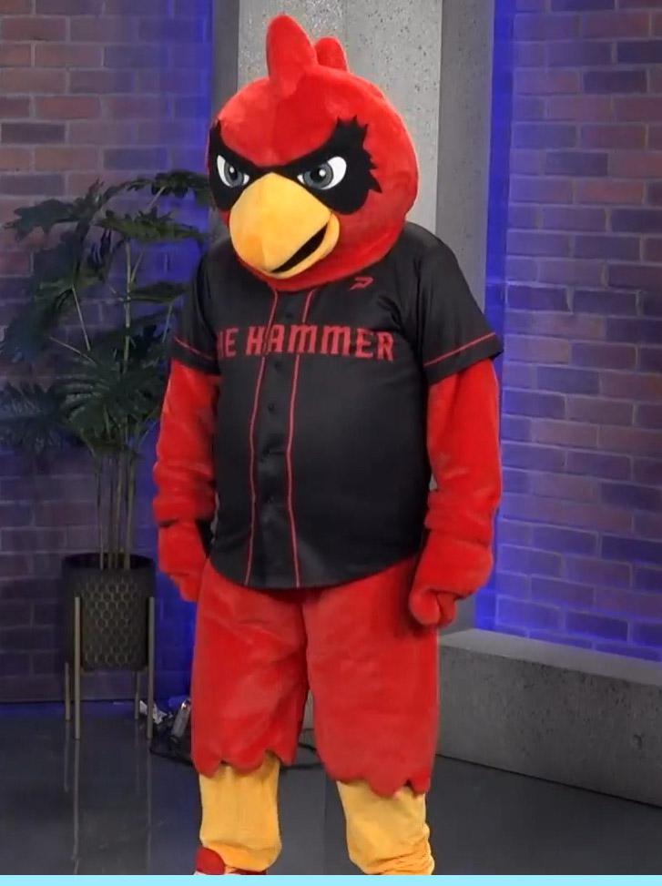 The Hamilton Cardinals New Mascot r/IBLbaseball