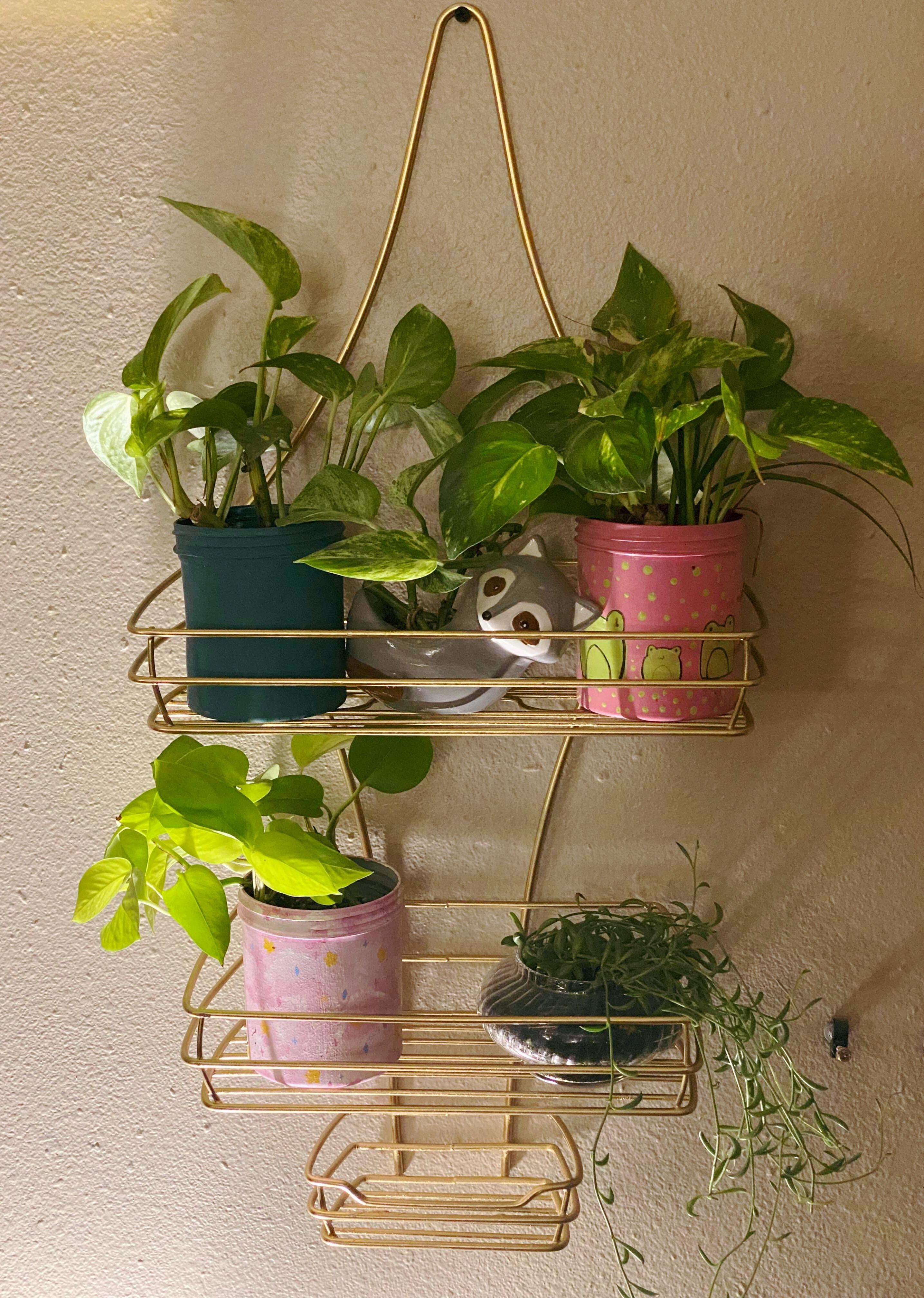 I spray painted an old shower caddy and turned into more shelving for