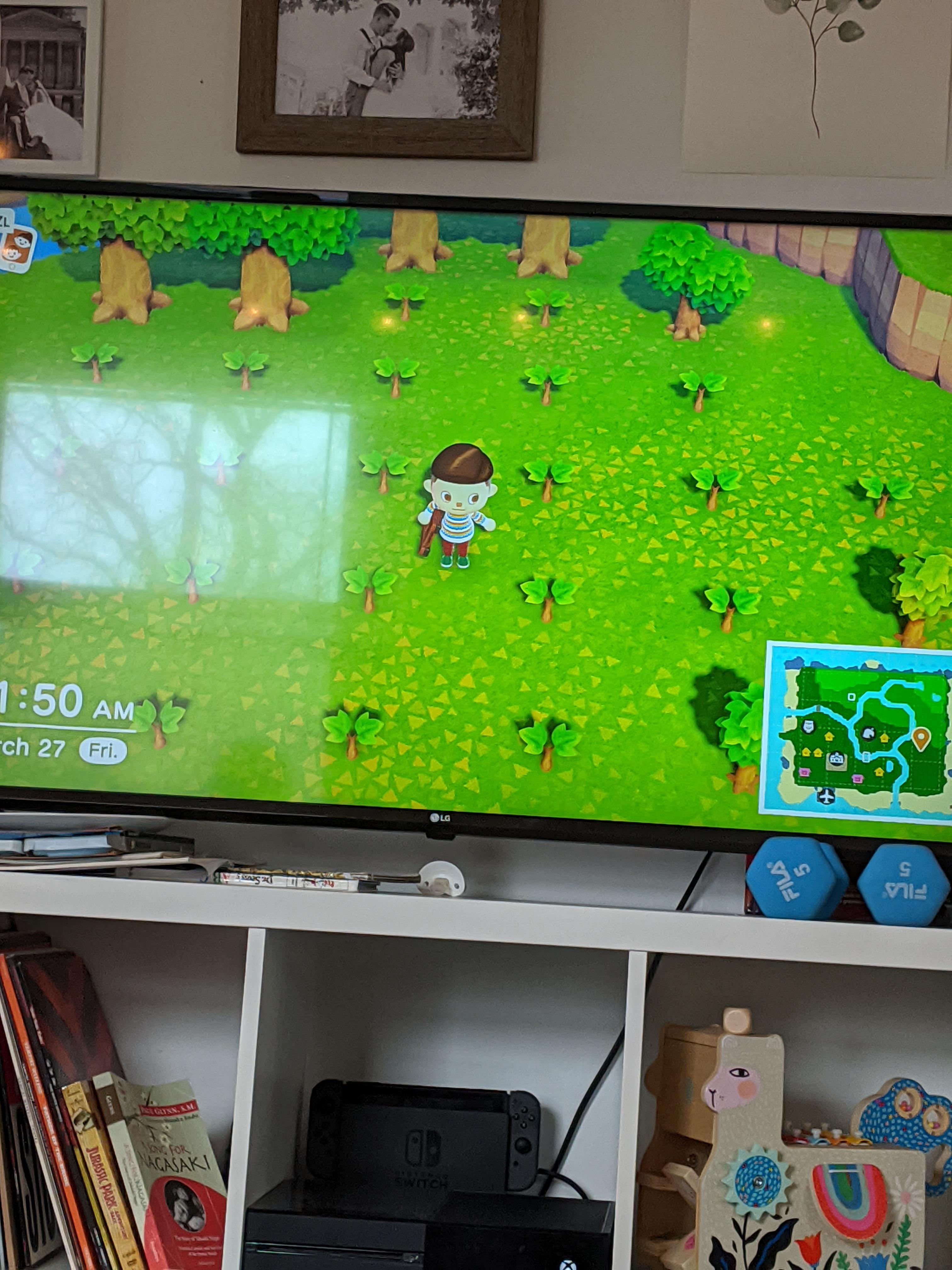 Why aren't my orange trees growing? Some are on the edges... r/AnimalCrossing