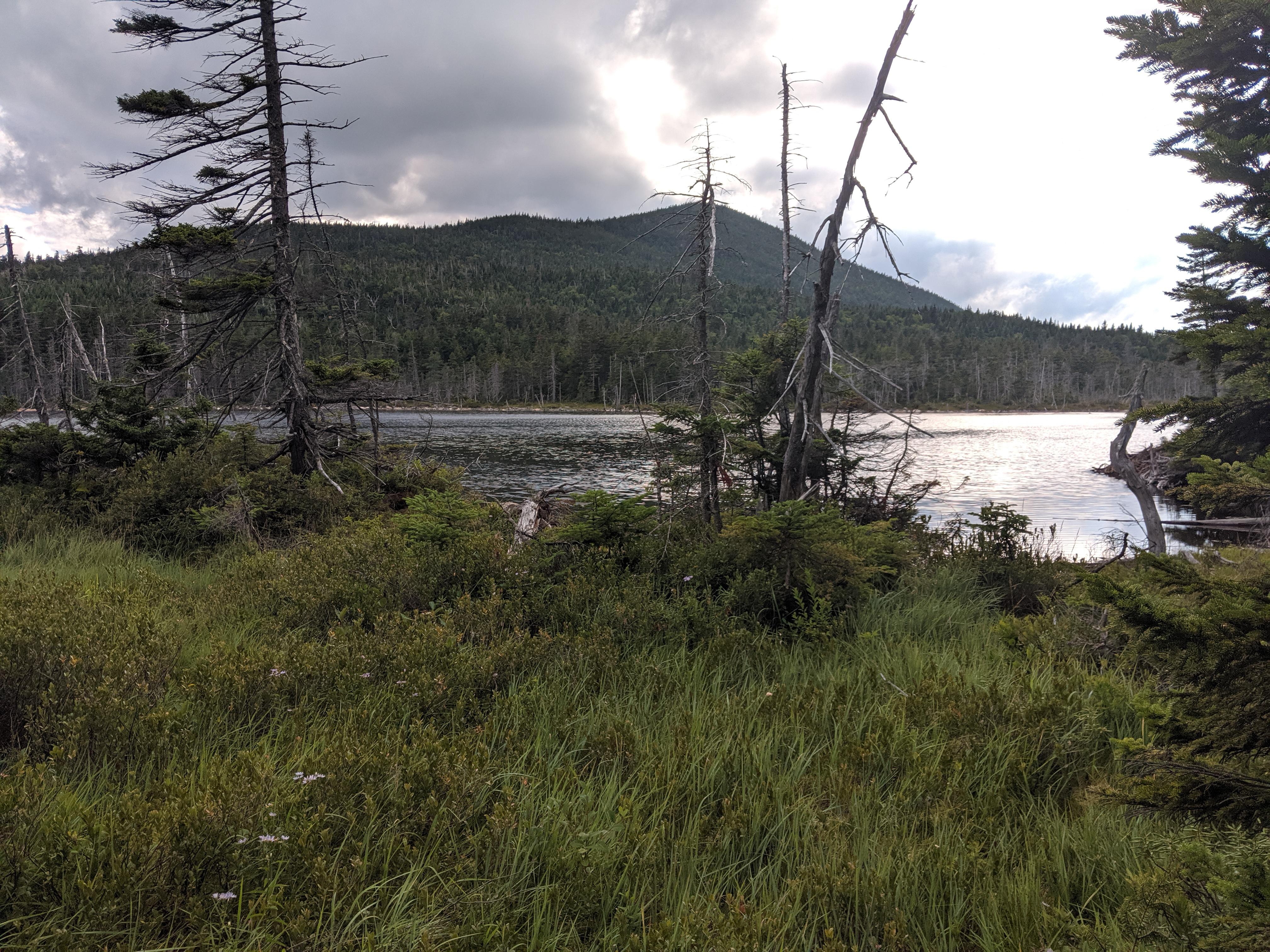 White Mountain, New Hampshire. [4032x3024] [OC] r/EarthPorn