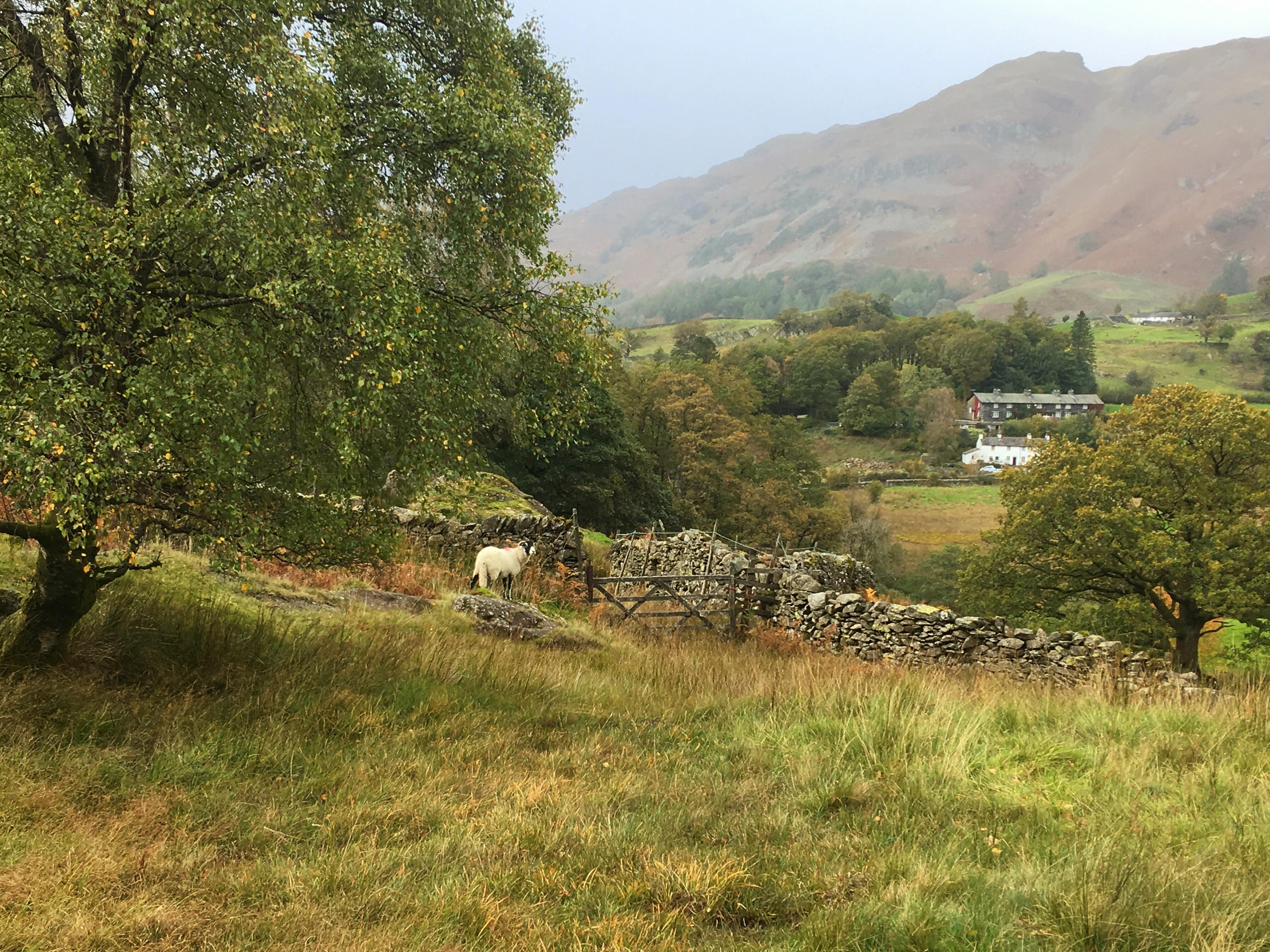 The Lake District, chocolate box pretty r/CasualUK