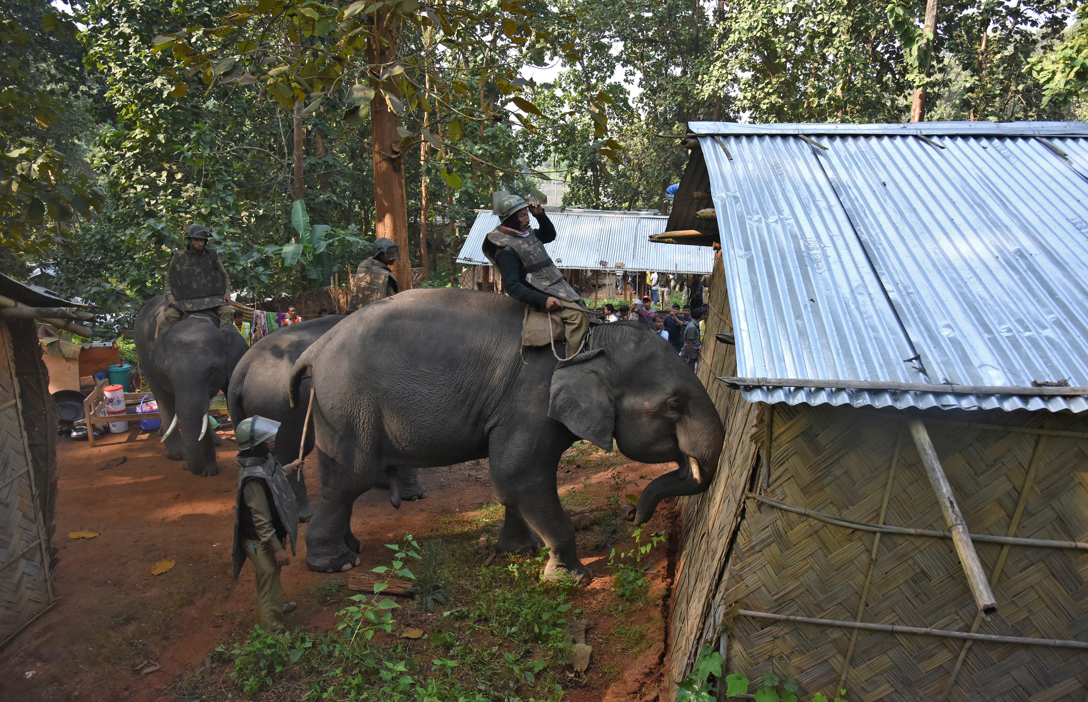 Elephants being used to demolish houses in a drive to clear a wildlife