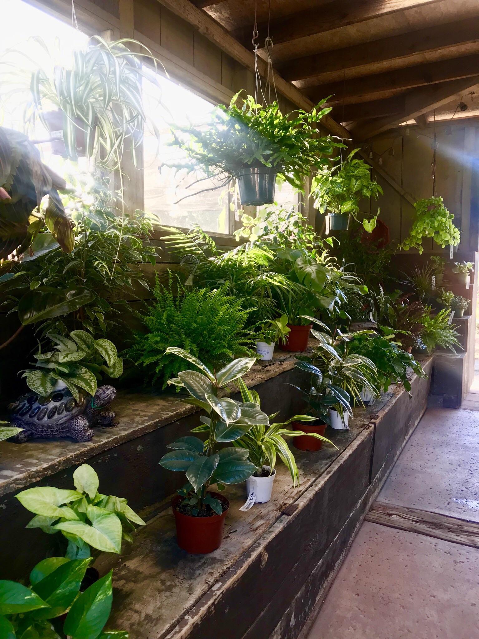 Hunters Nursery San Diego r/gardening