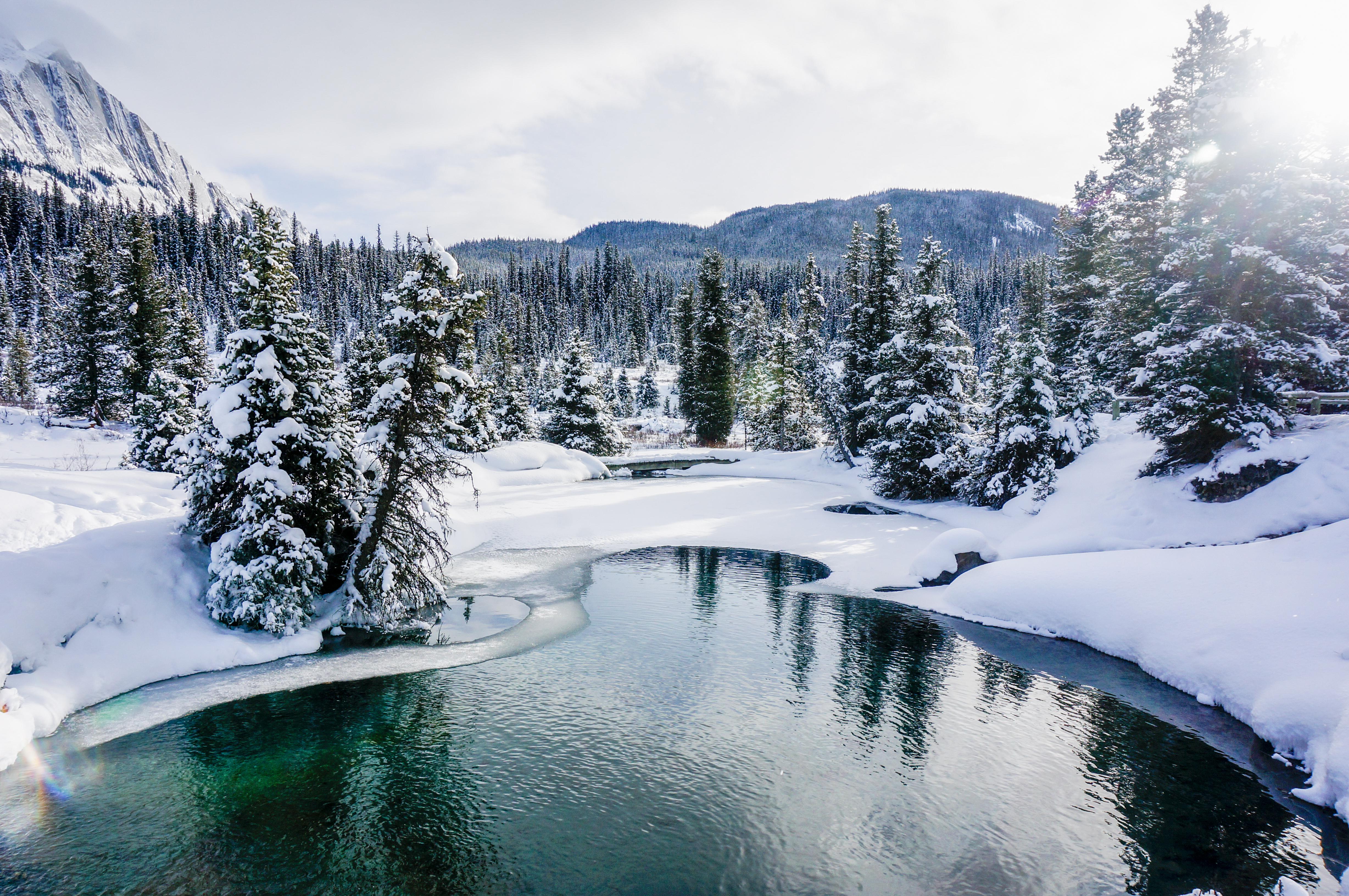 Ink Pots, Banff National Park, Alberta, Canada [OC] [4912x3264] r
