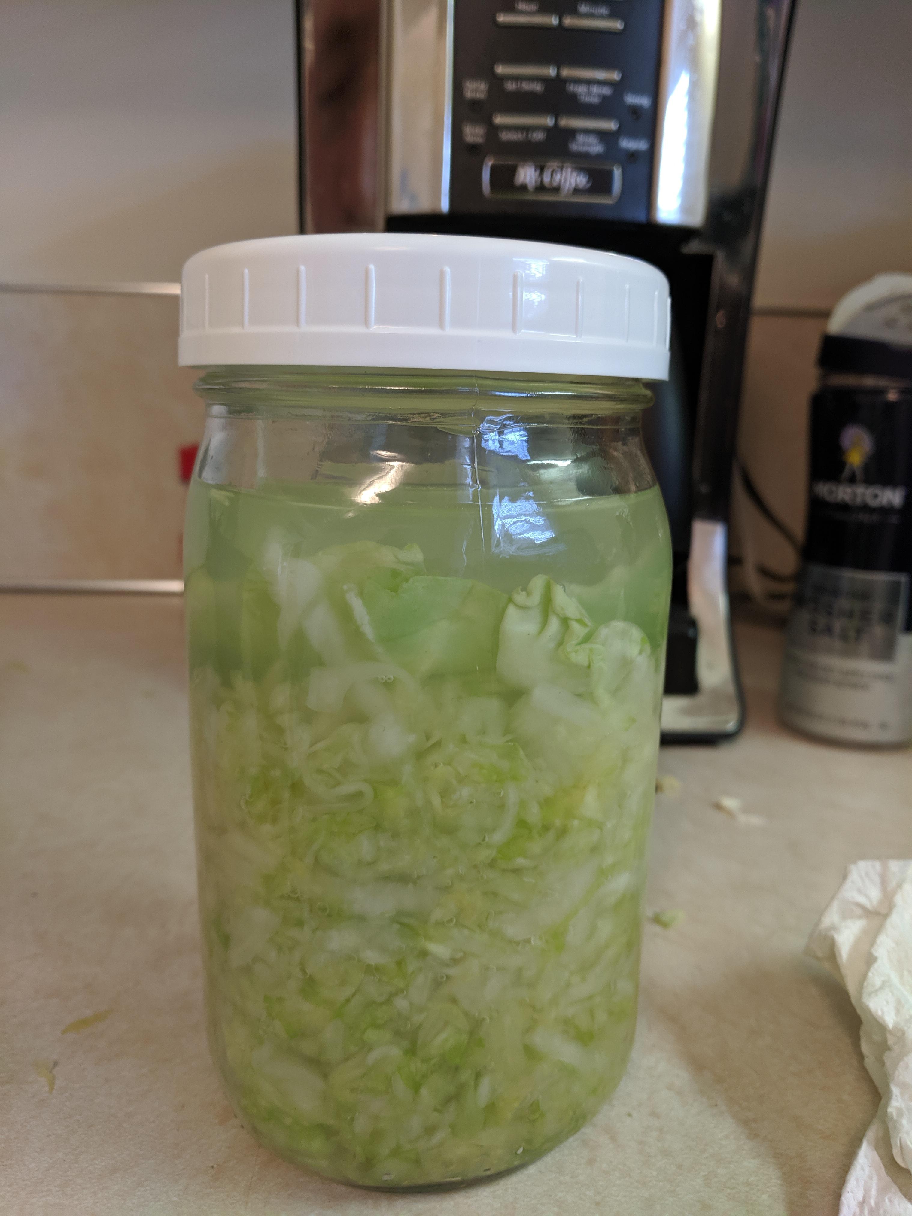 Third batch of sauerkraut, the first two failed. I am using a plastic