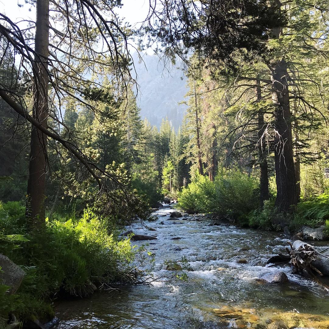 Stream in Kings Canyon National Park, California, USA r/hiking