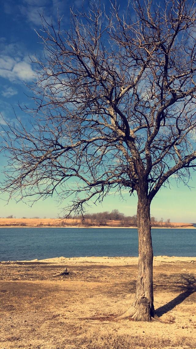 Lake Melvern is beautiful this time of year r/kansas