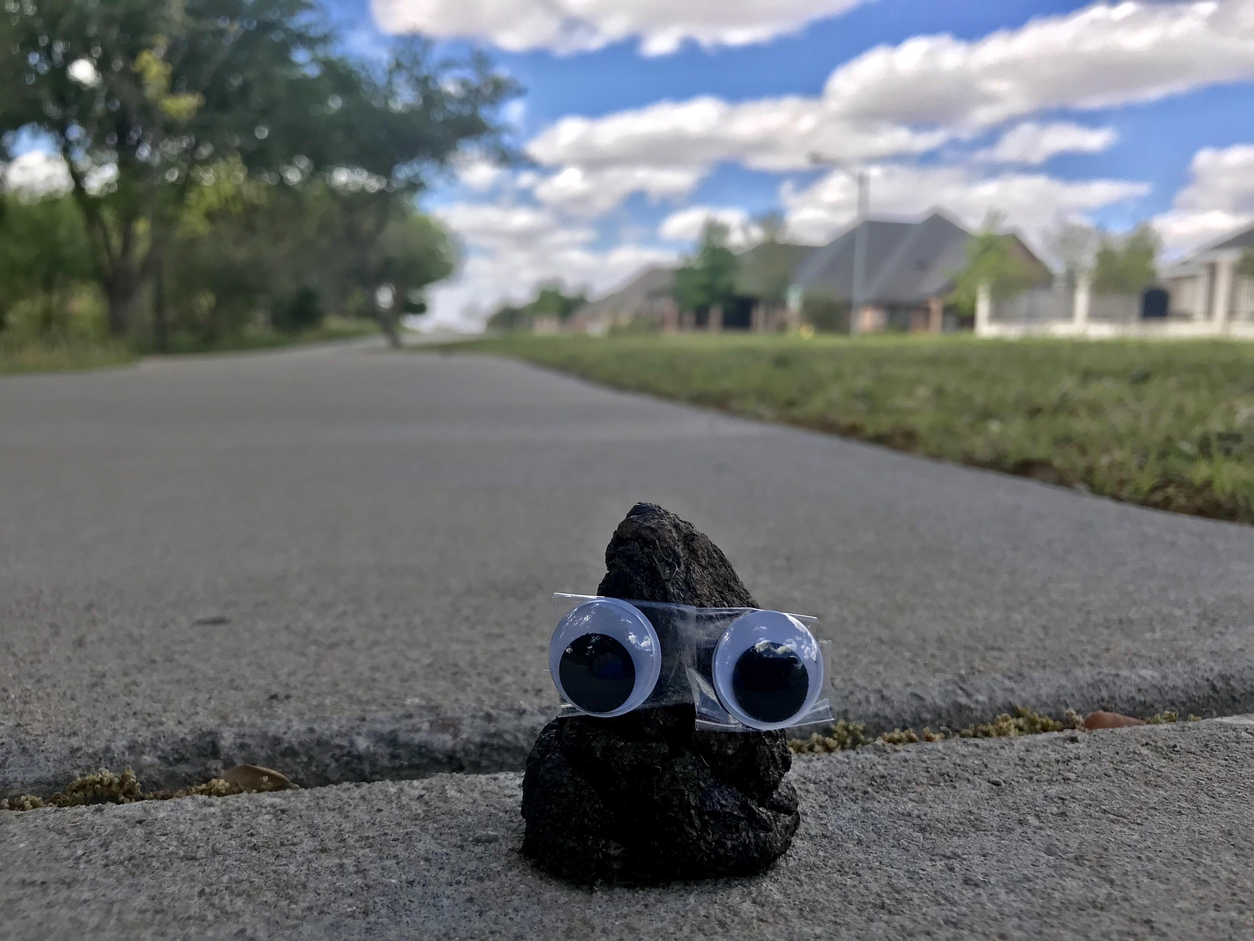 Real life poop emoji. When you see a dog turd that resembles the poop