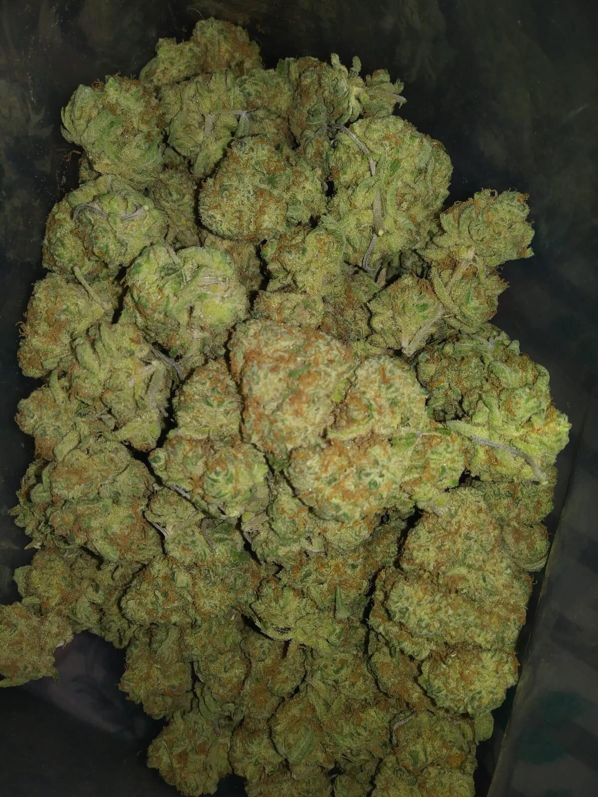 Nuken / ganja Express / oct r/MOMpics