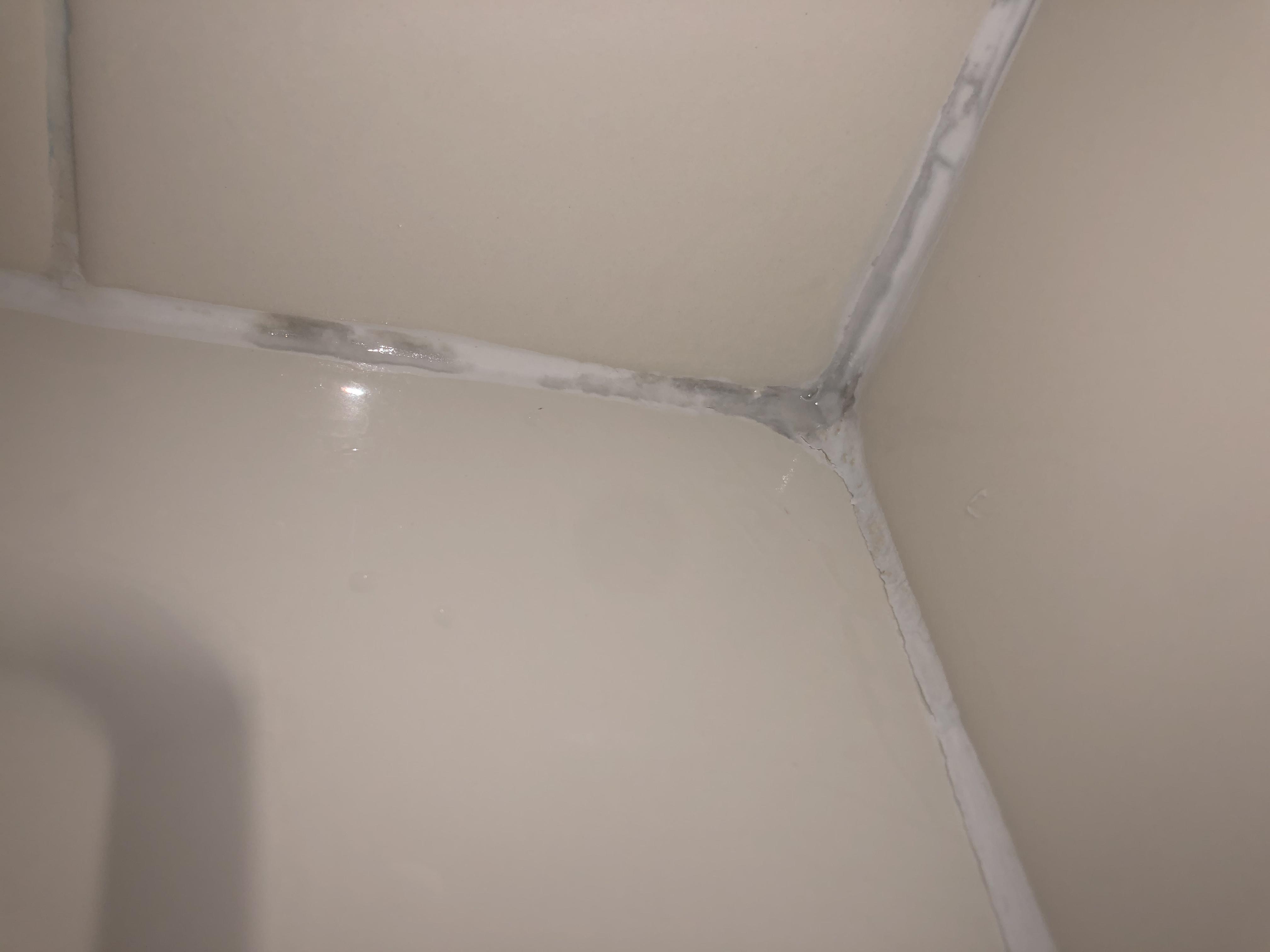 Is this thing in my shower mold or just discoloration in the grout? r