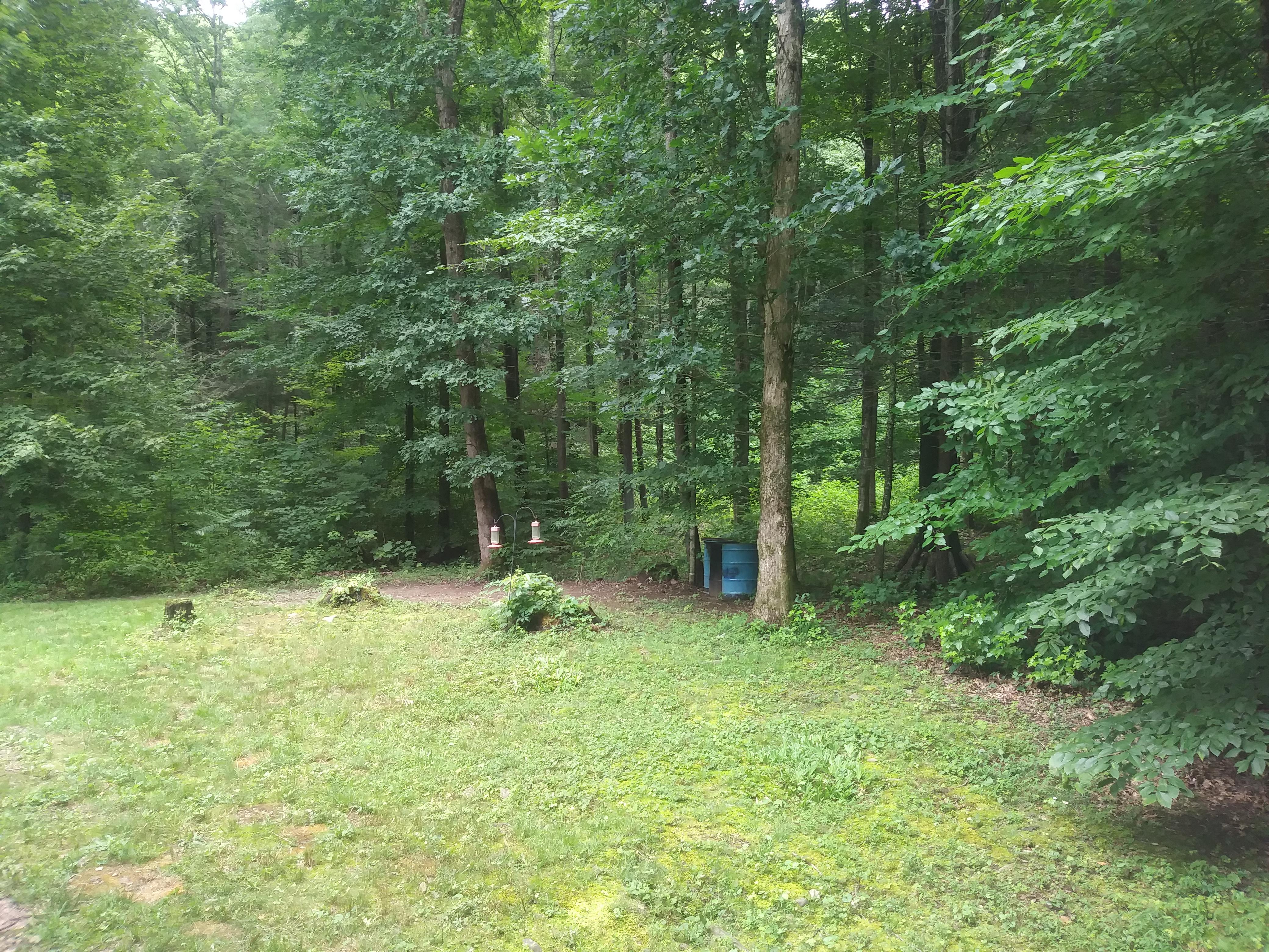 Living next to a National Forest is the best. You own a few acres but