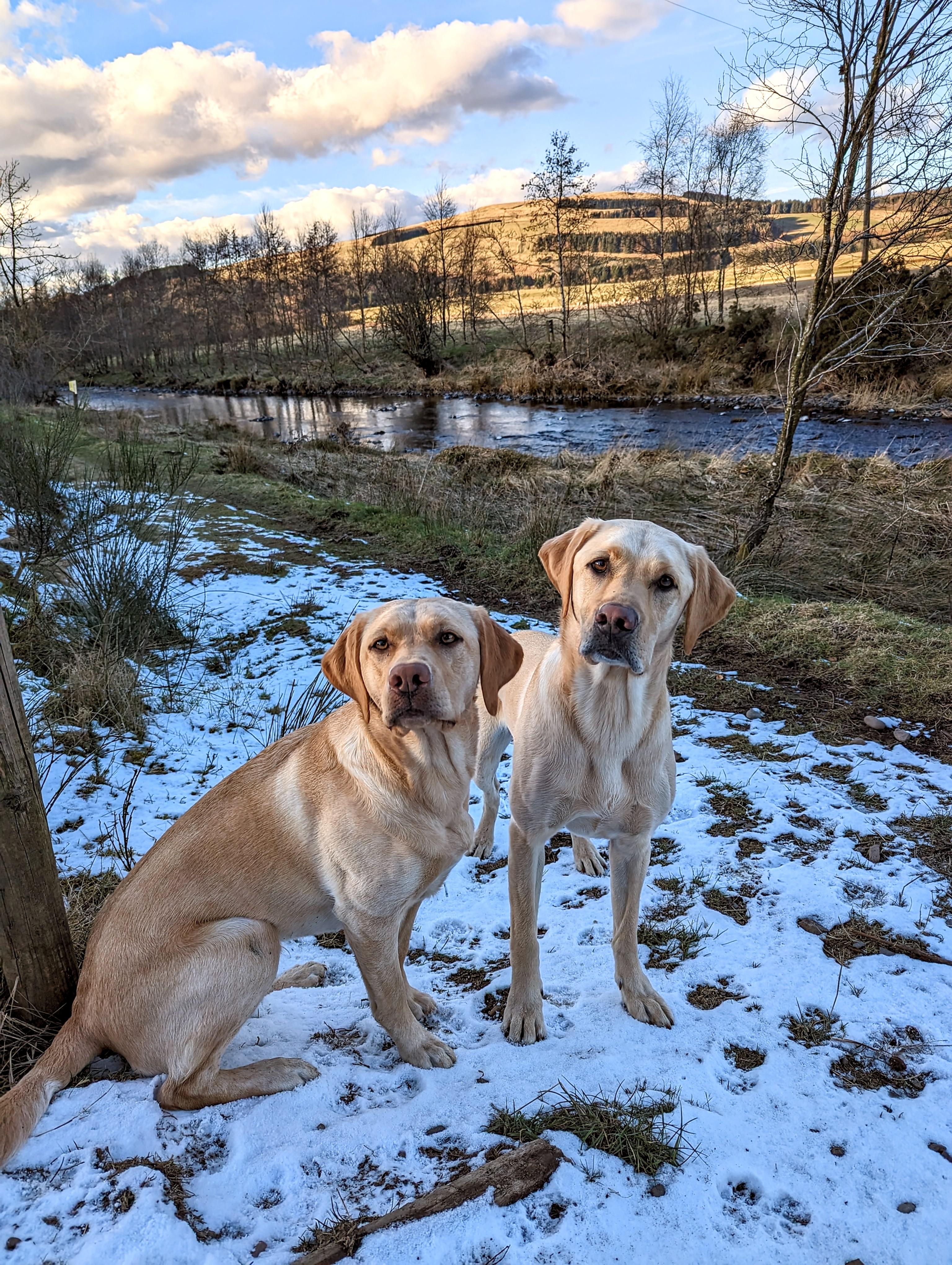 it's cold but it looks beautiful r/Fife