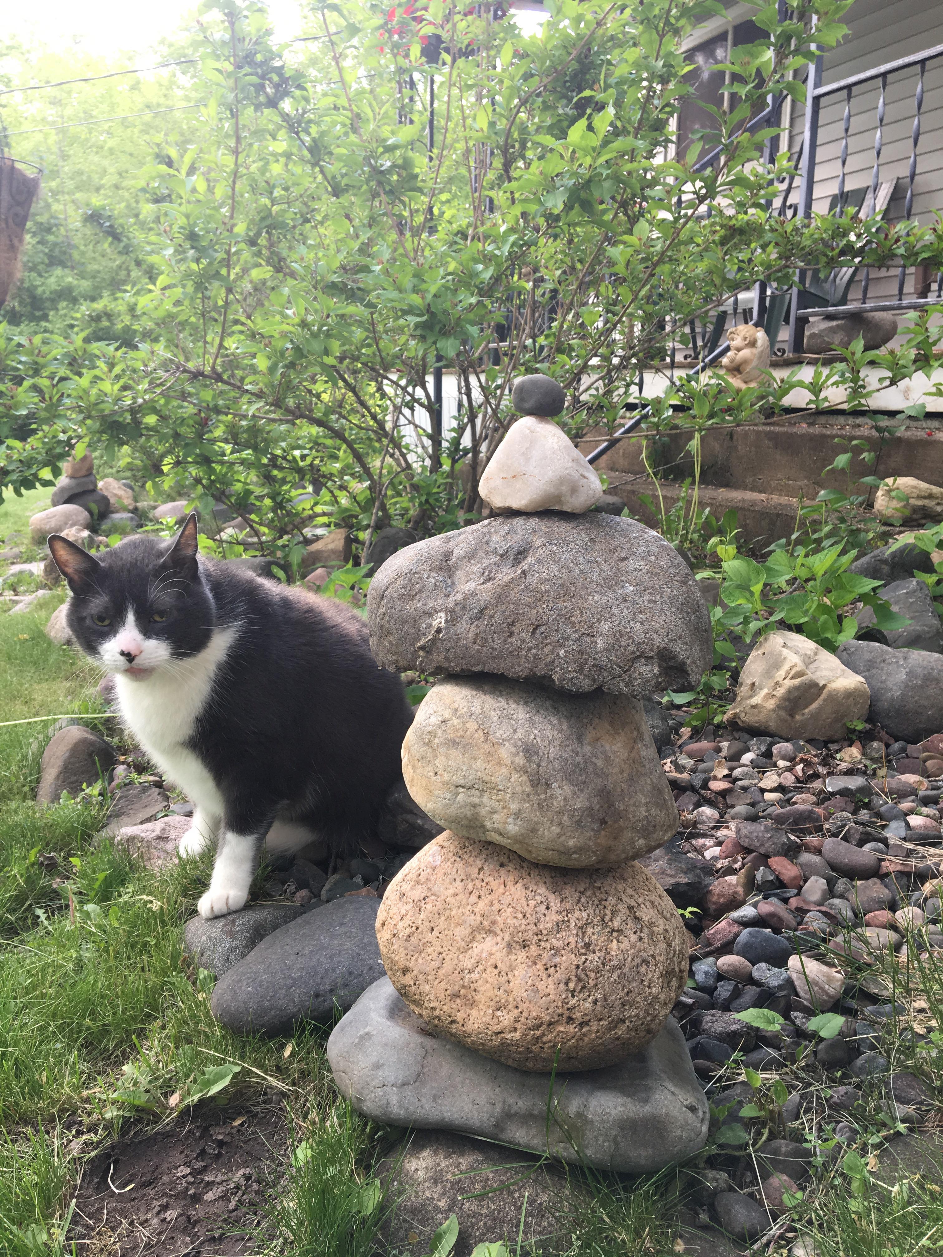 Indoor cat loving the outdoor. r/cats