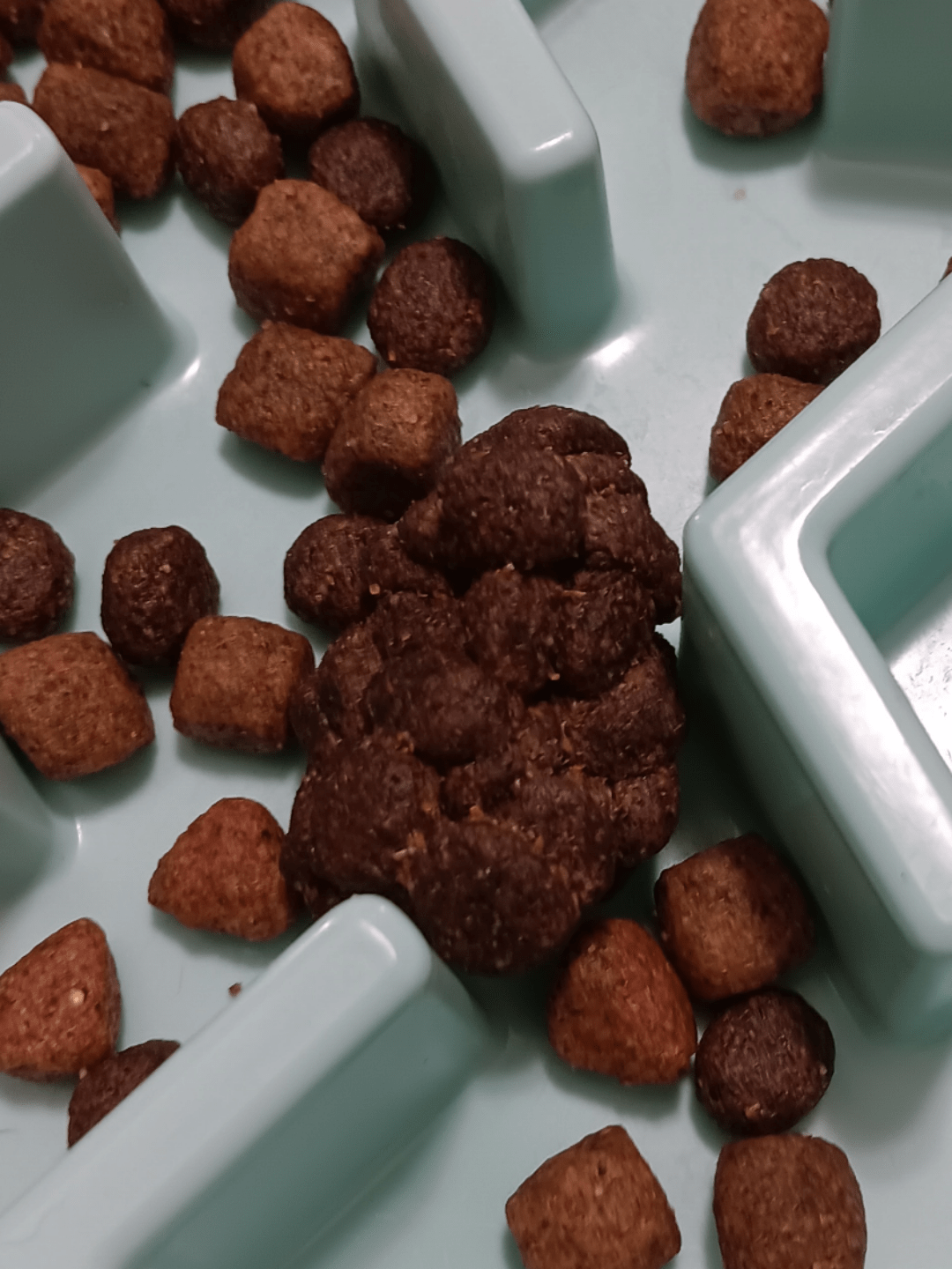 Does dog food count? Factory defect we discovered in a bag of racheal