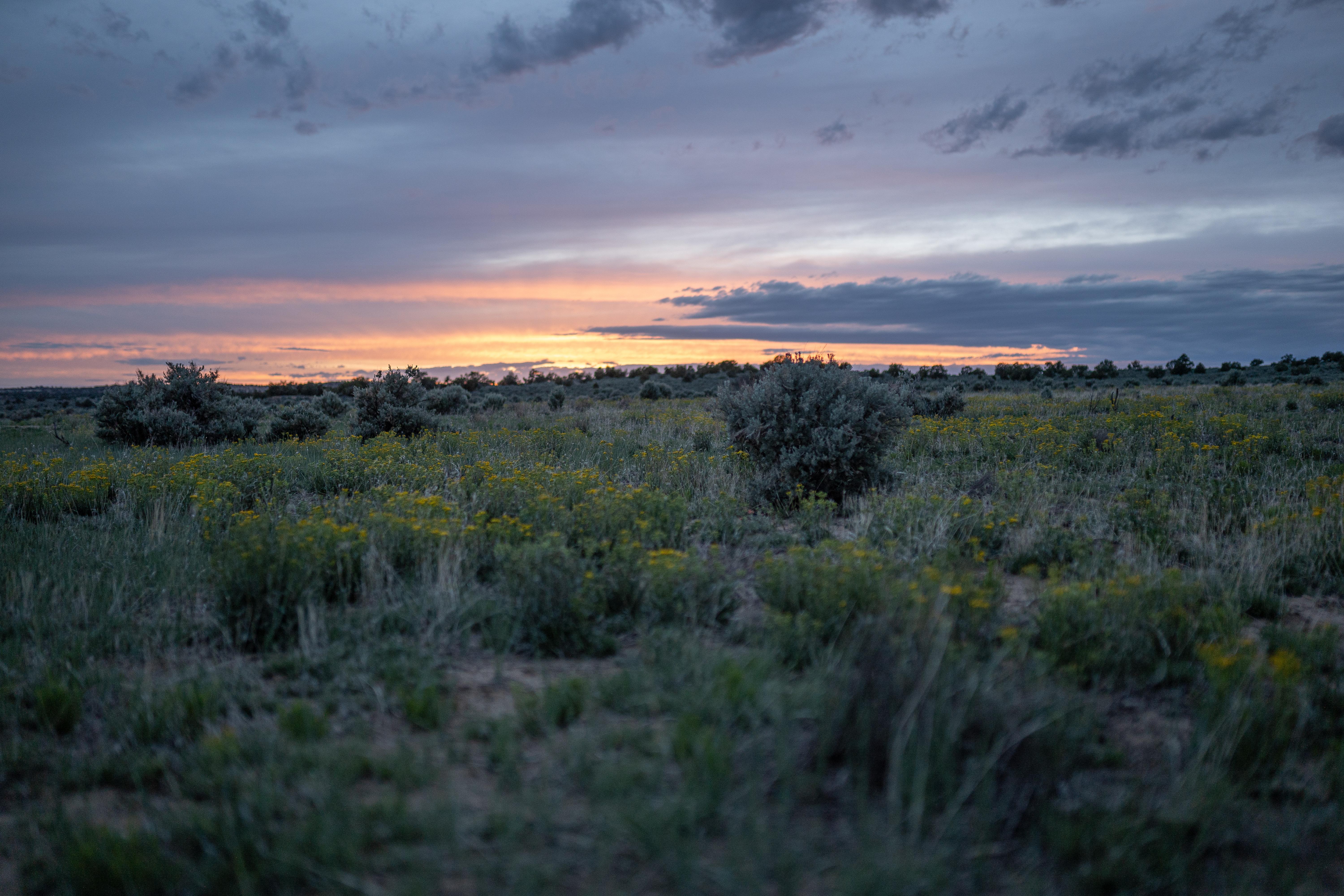 A remote canyon outside of Cuba, New Mexico, USA [OC][6000x4000] r
