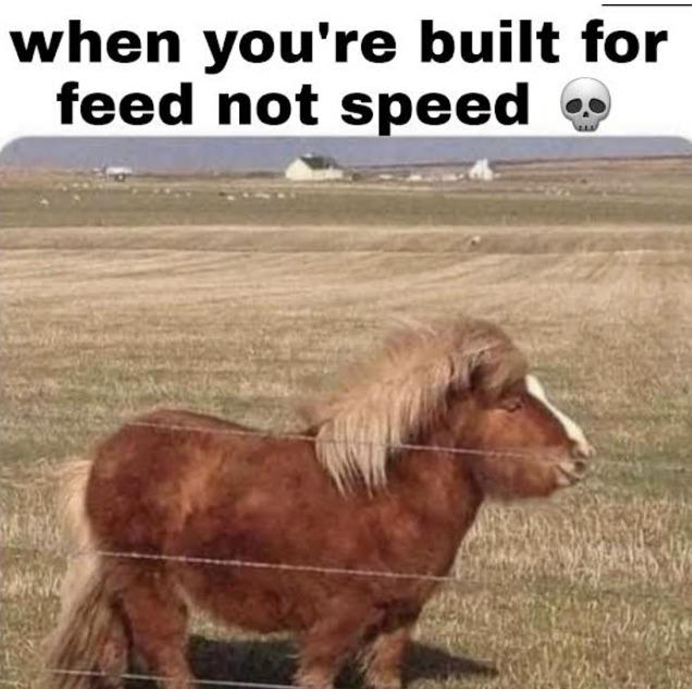 figure 8 noseband vs. anatomical bridle vs. flash band Equestrian