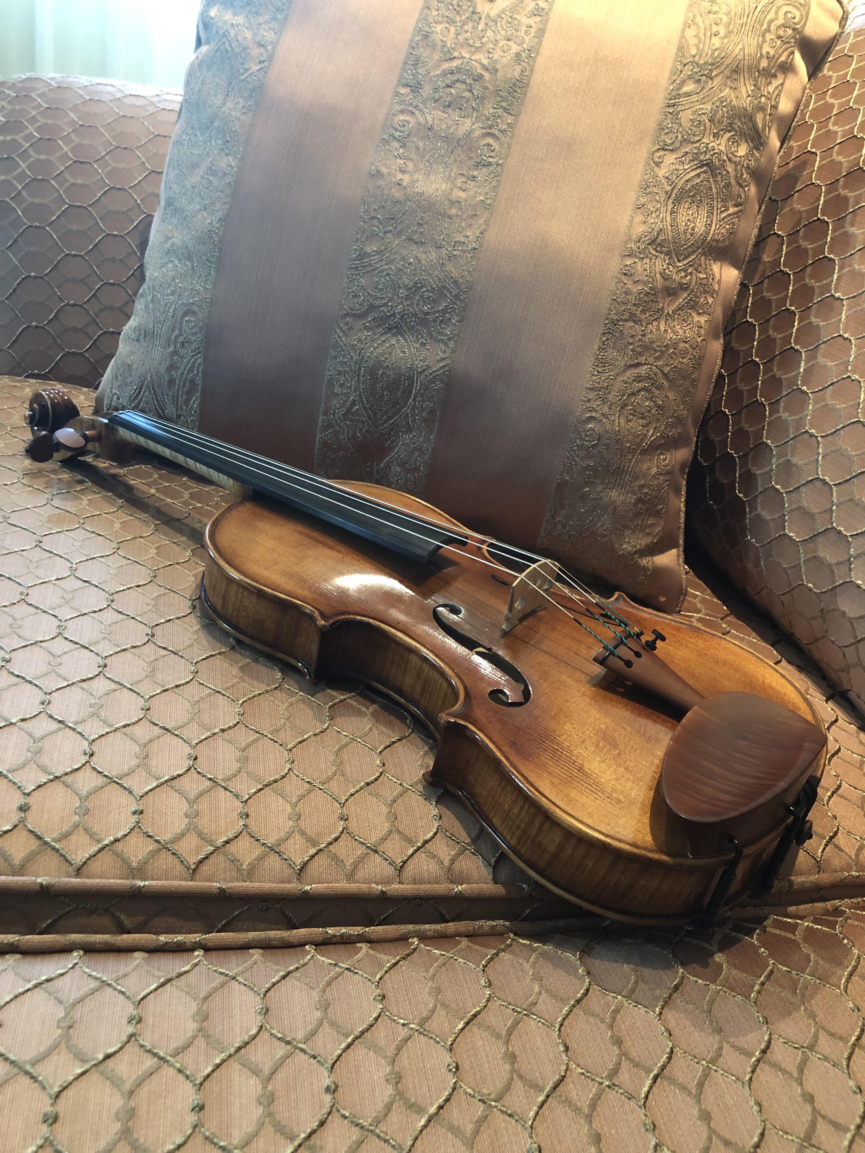 Is this a good quality violin? r/violinist