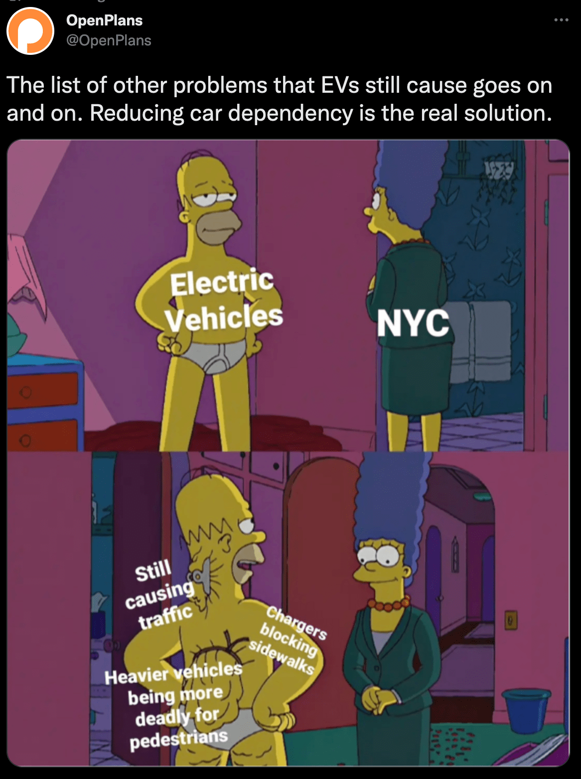 Electric Vehicles Won't Save Us Elektroautos