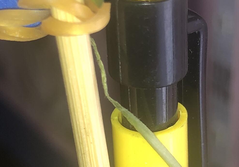 what do i do. got drunk and my plant had to pay r/plantclinic