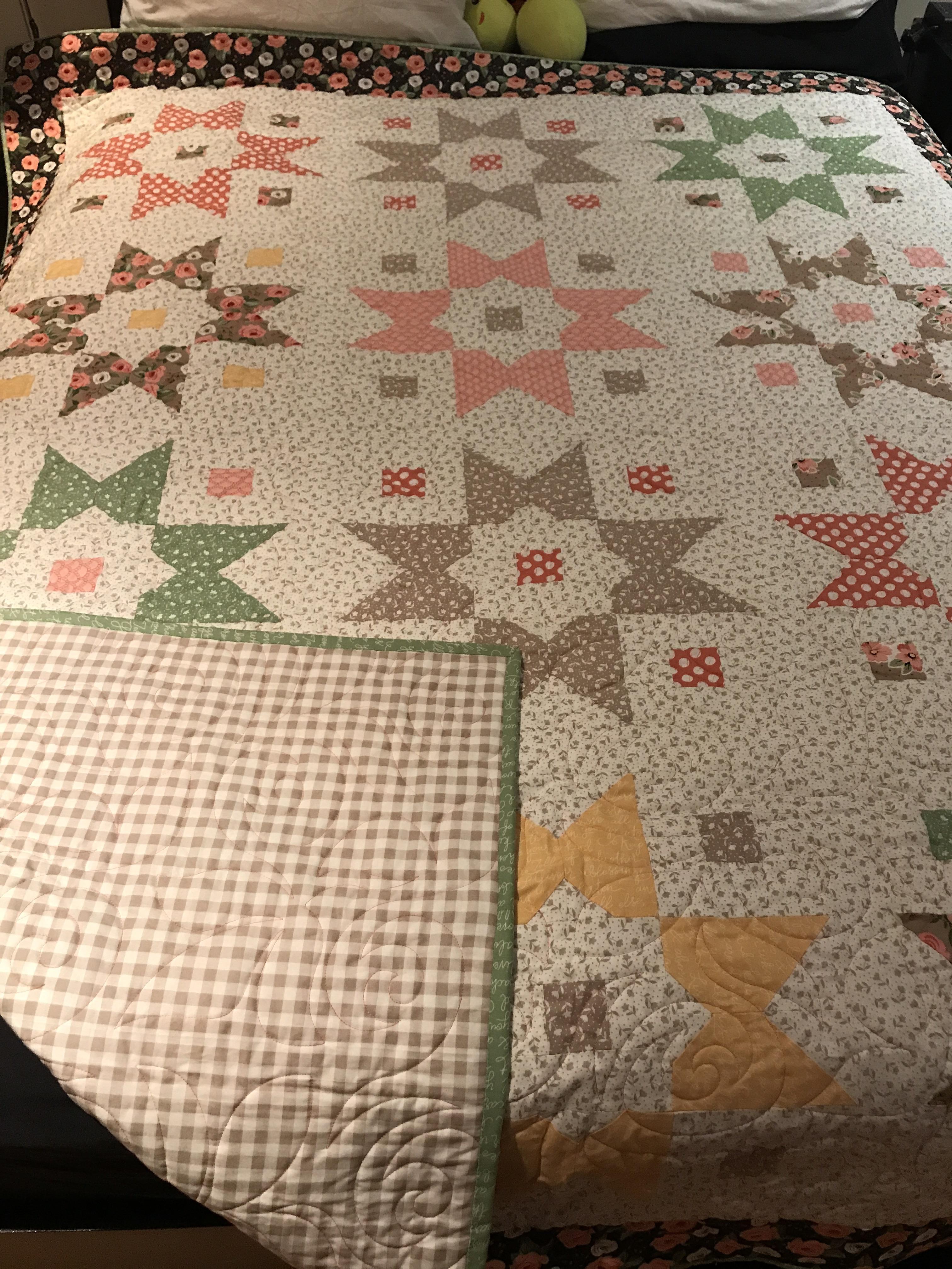 Farmer’s daughter quilt, finally finished and bound. r/quilting