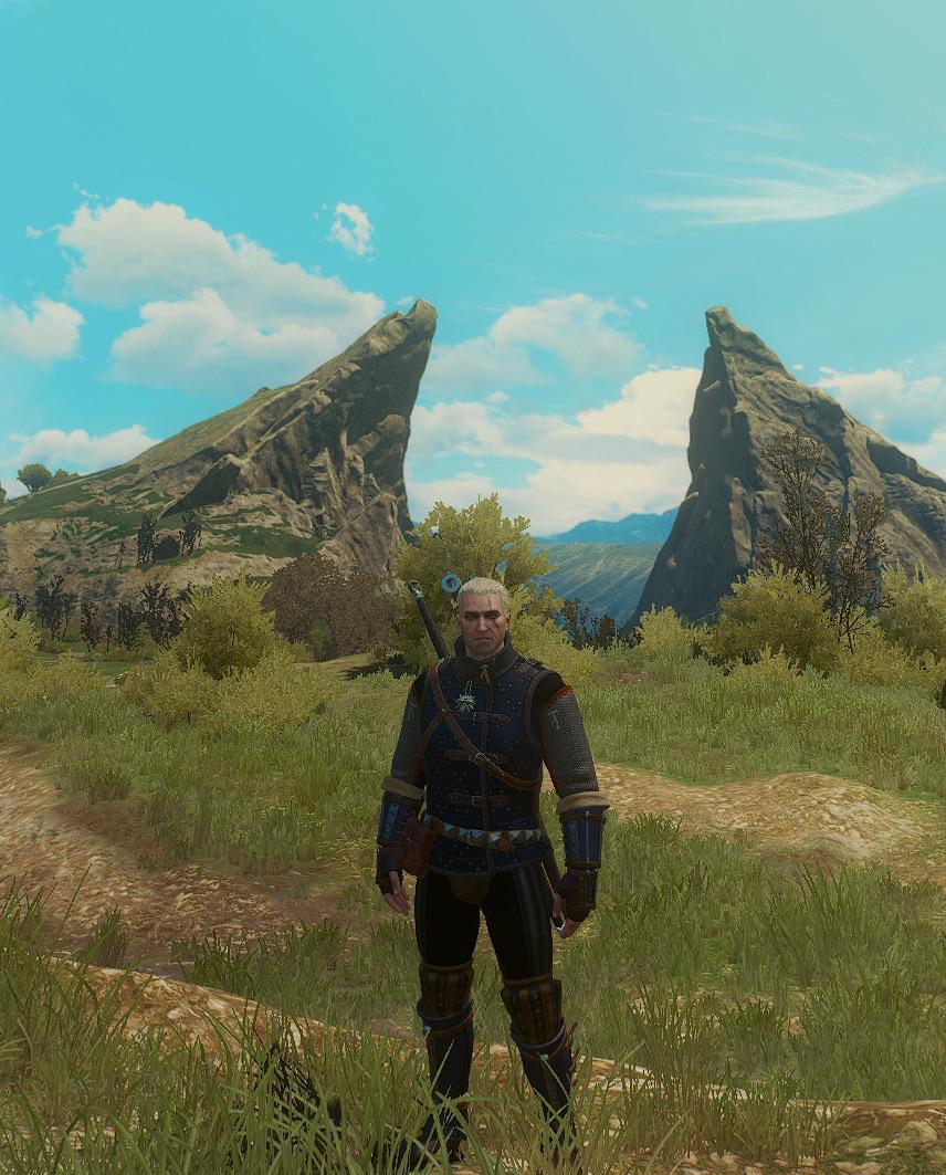 Finally got my Mastercrafted feline armor!!!!!! r/Witcher3